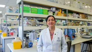 Chile Hantavirus Research