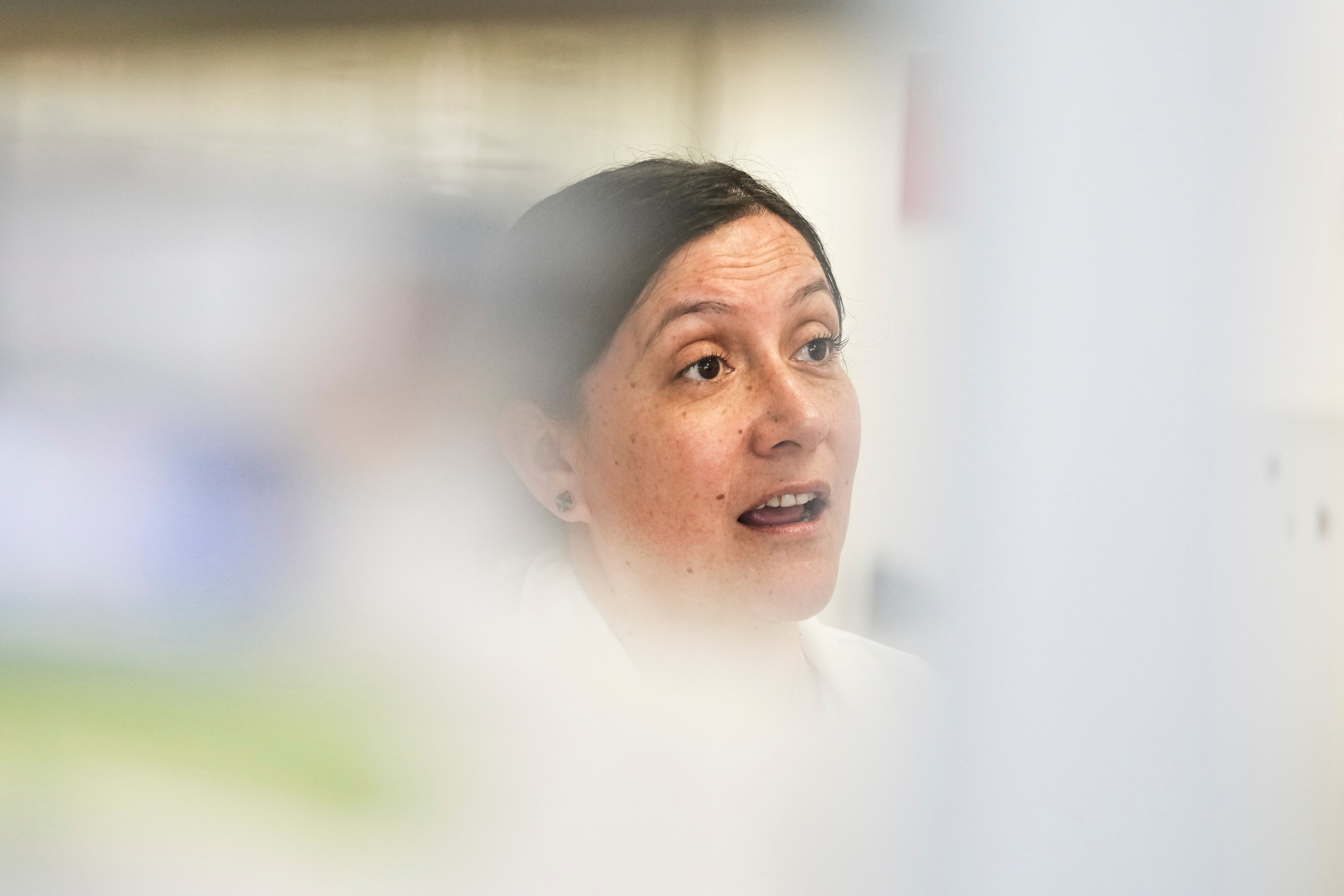 Chile Hantavirus Research