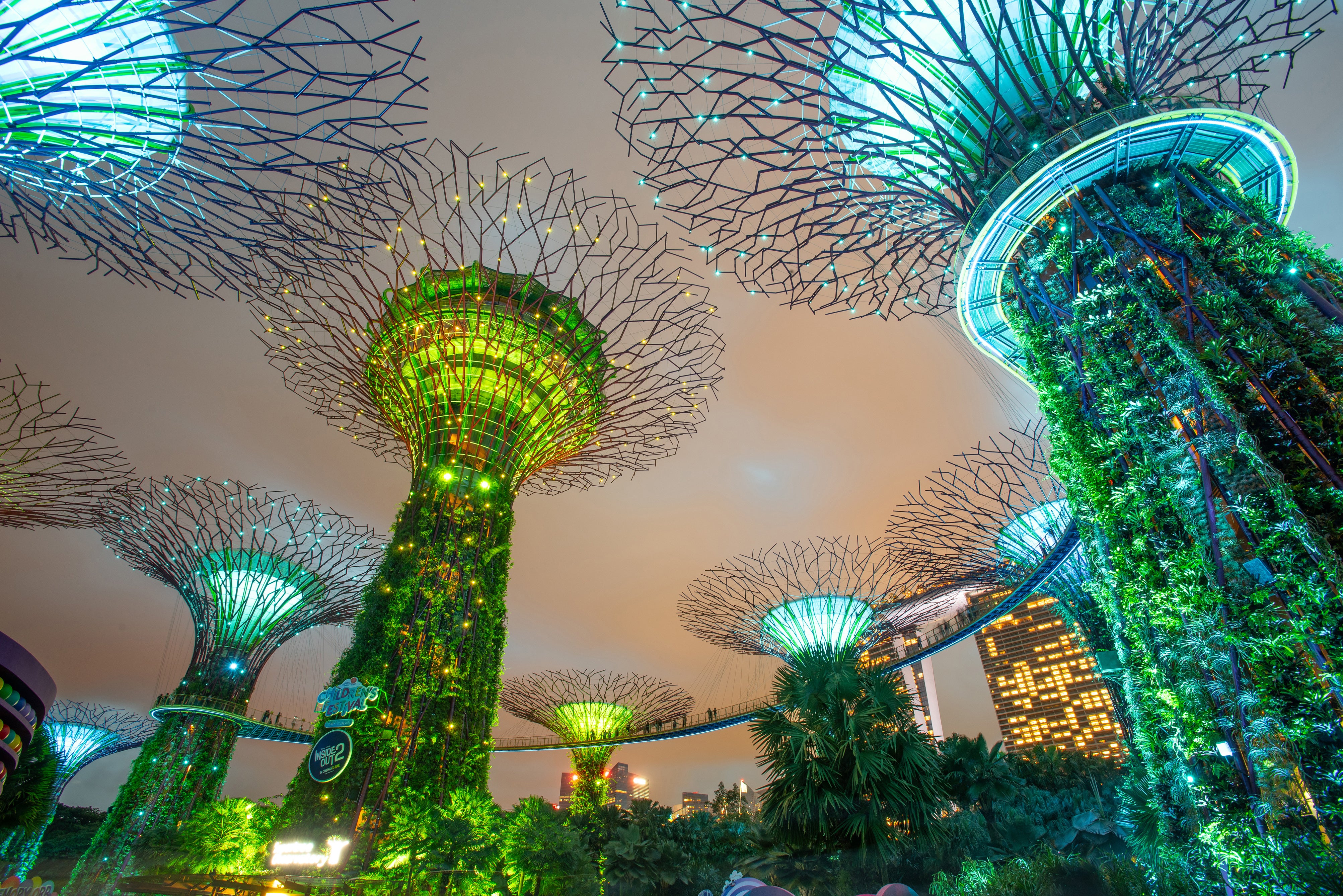The ‘supertrees’ at Gardens by the Bay are an incredible sight, particularly when illuminated at night