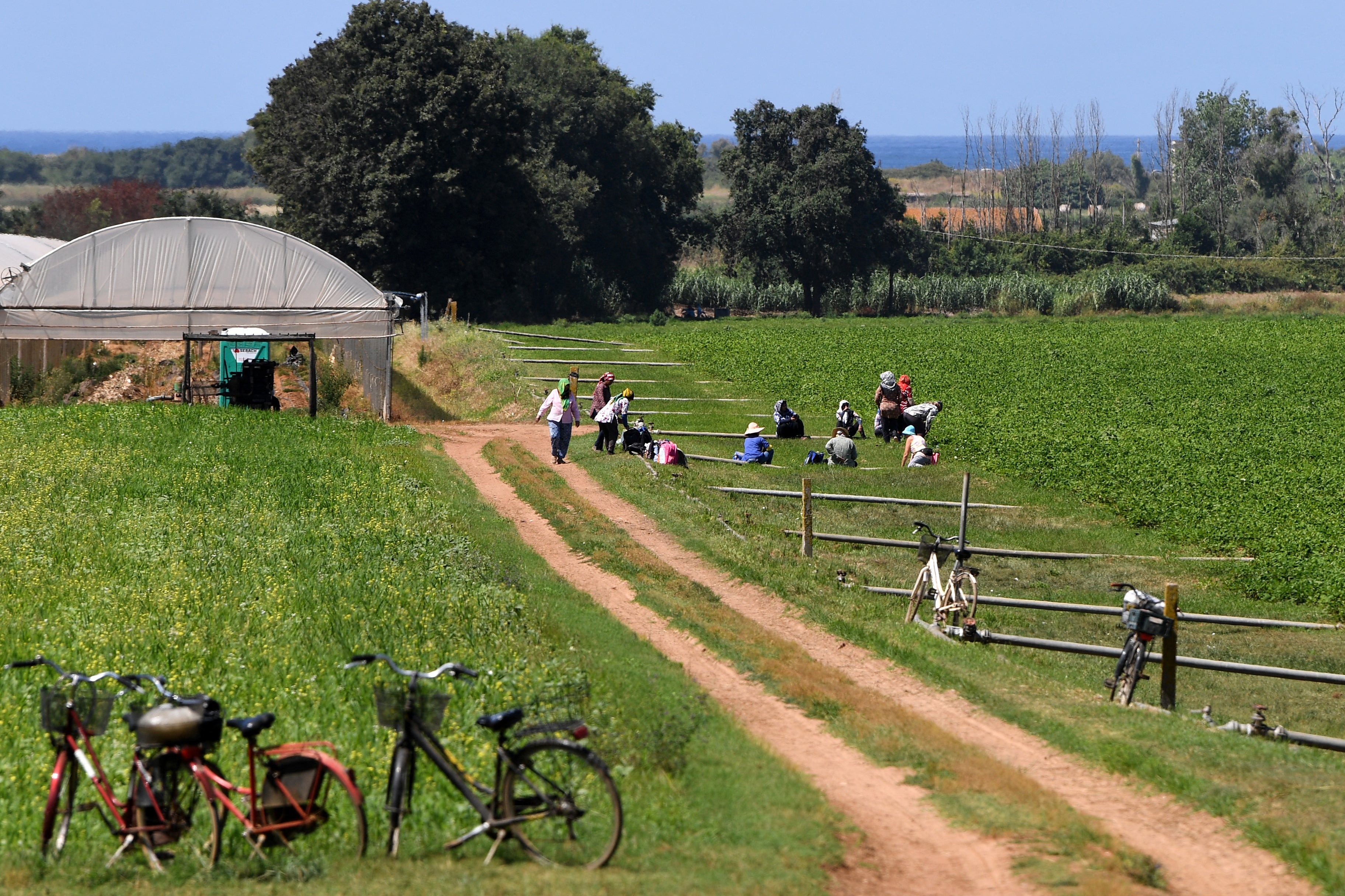 Migrants workers and their bicycles are seen at the fields of Bella Farnia near the coastal city of Sabaudia, south of Rome (AFP/Getty)