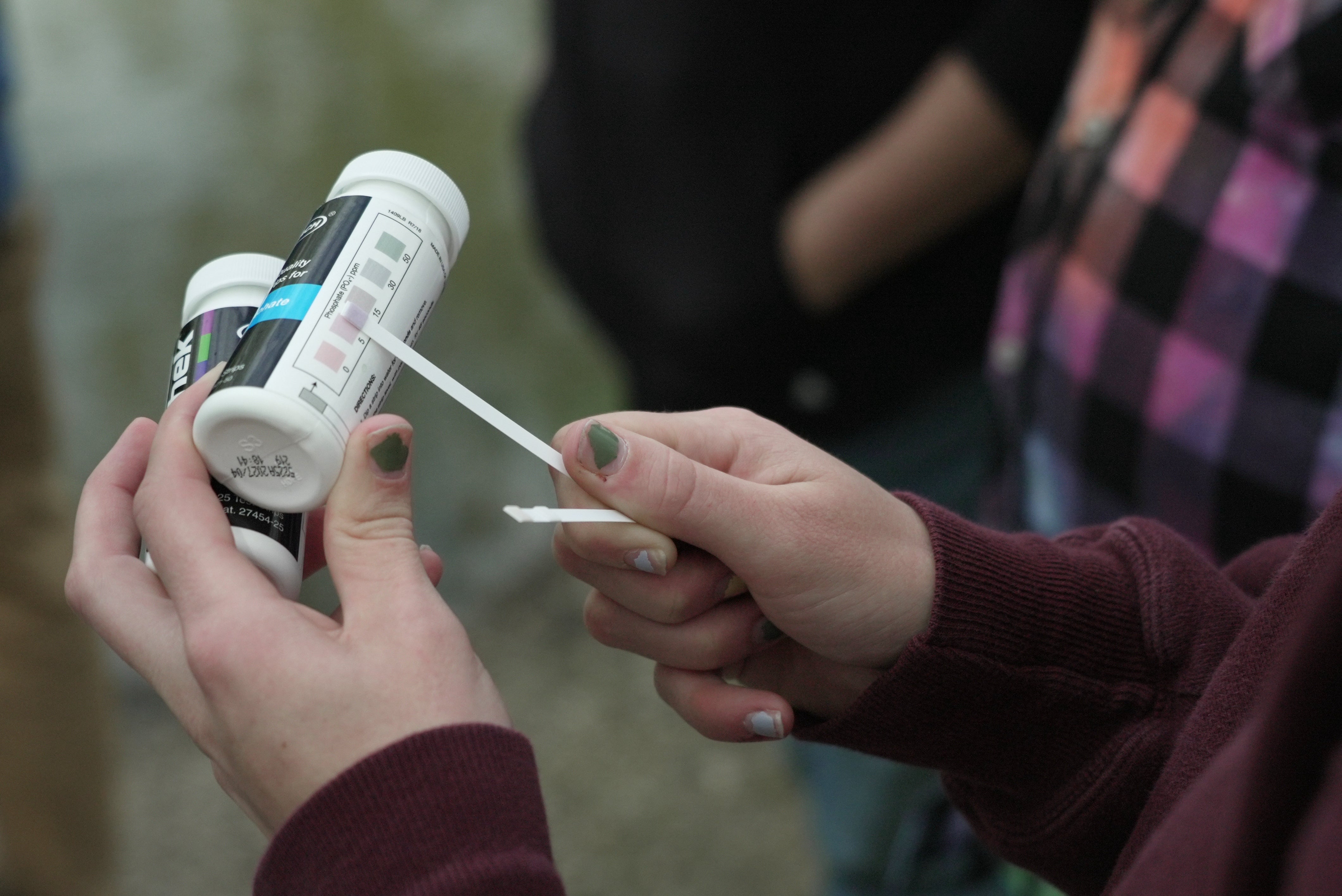 A Drake University student holds a phosphate test strip after sampling water from a stream (AP Photo/Brittany Peterson)