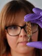 Rare Roman brooch discovered by metal detectorist set to be unveiled for the first time