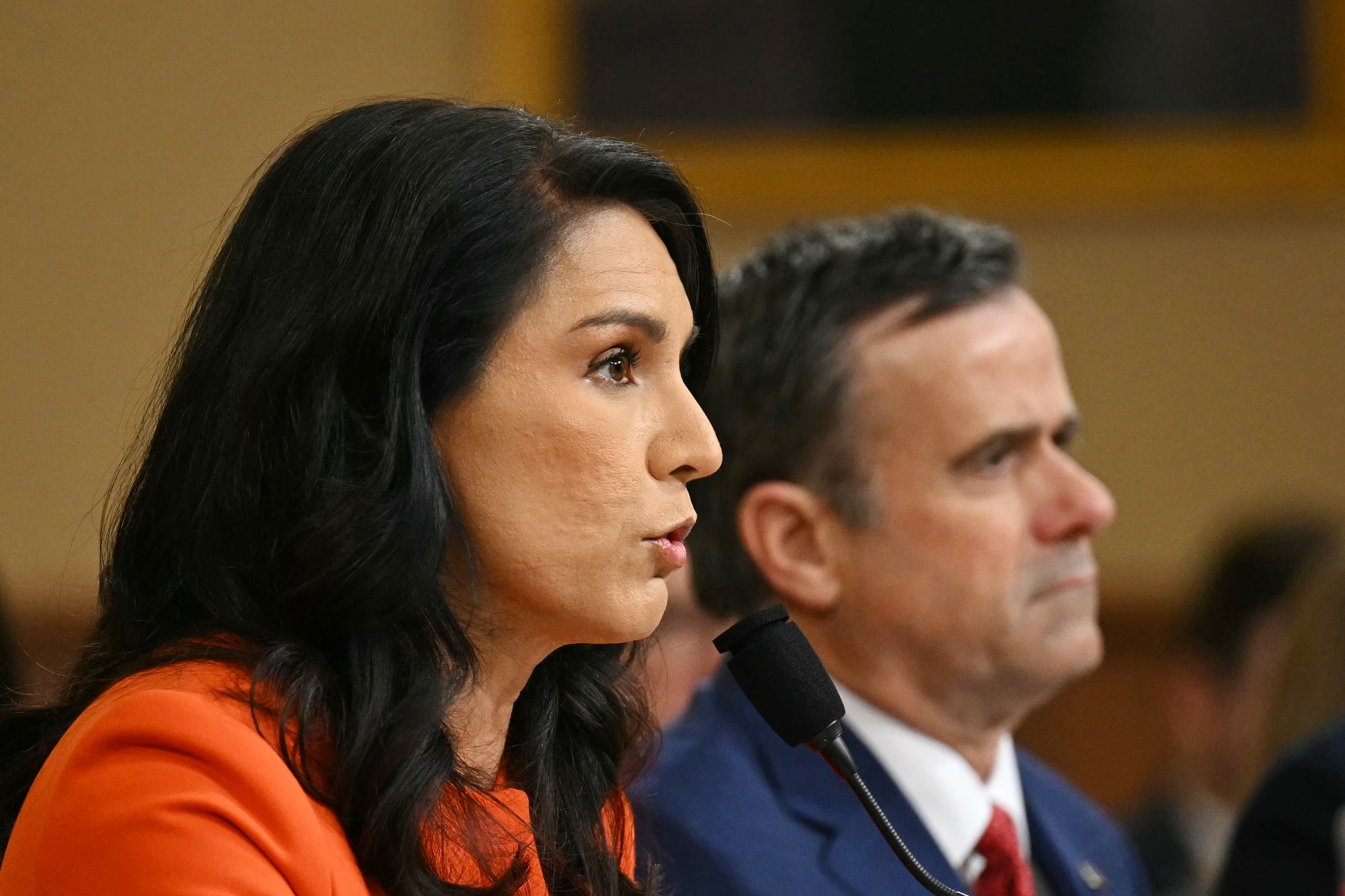Fox Kennedy praised former director of national intelligence Tulsi Gabbard and CIA Director John Ratcliffe for ‘doing the Lord’s work’ in attempting to root out the ‘weaponization’ of agencies (AFP/Getty)