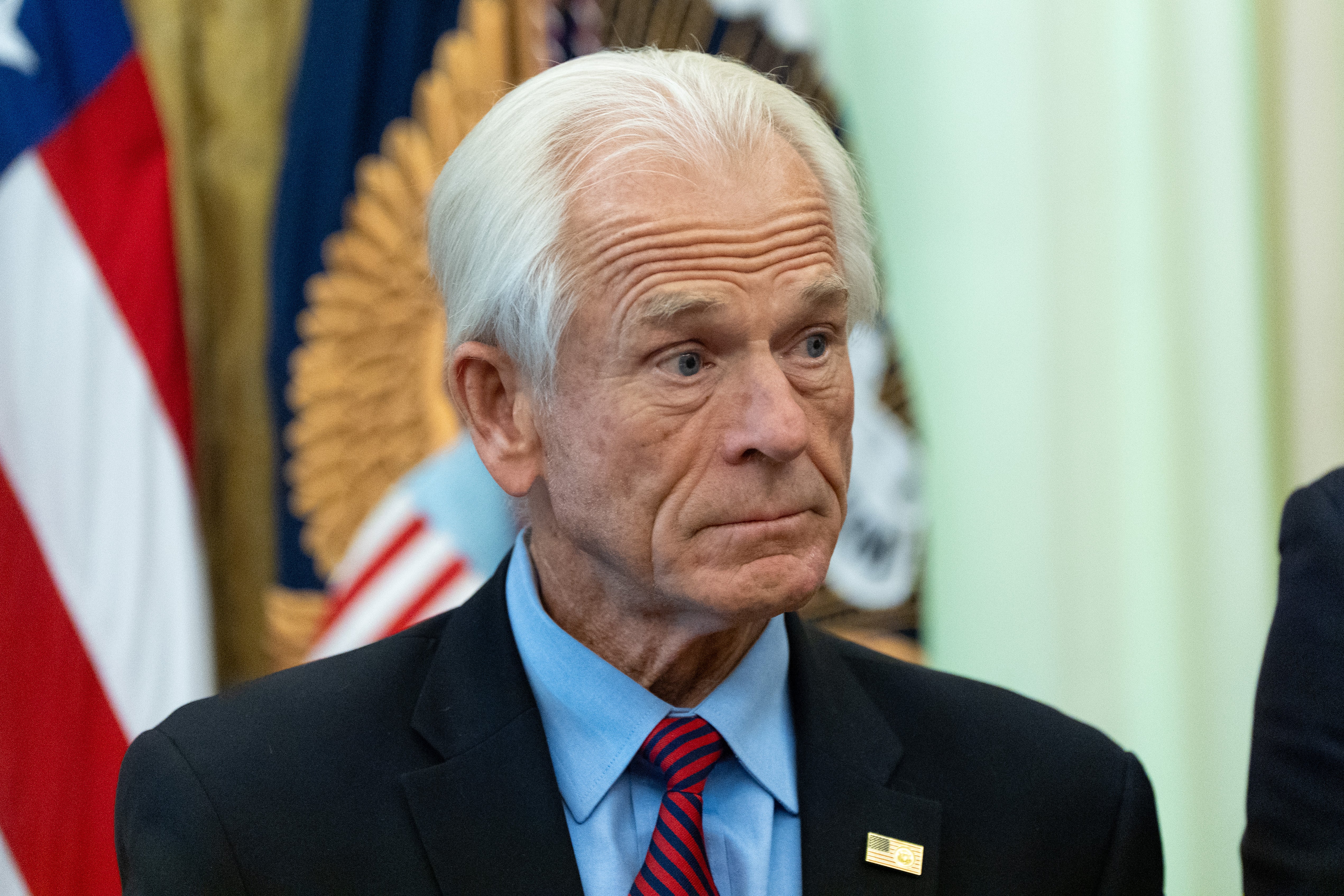 Peter Navarro, a longtime ally of President Trump, is currently serving as an adviser to the president and reportedly advocated for the loan to Vulcan Elements