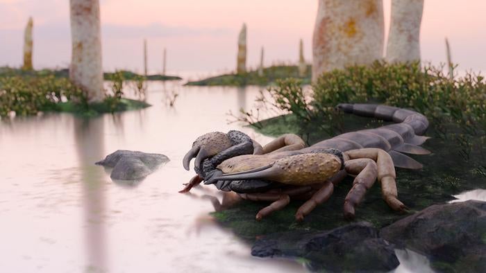 Life reconstruction of Praearcturus gigas