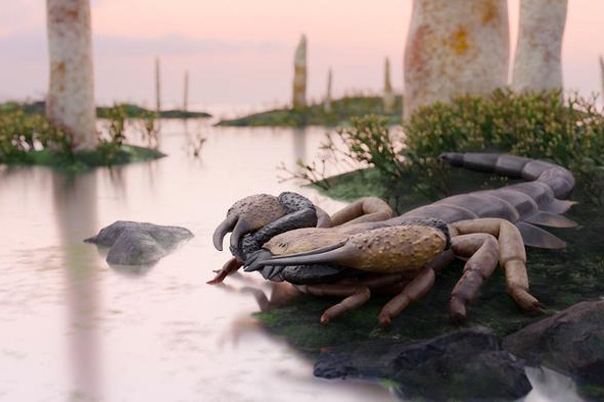 Gigantic metre-long scorpions with formidable pincers once roamed England ...