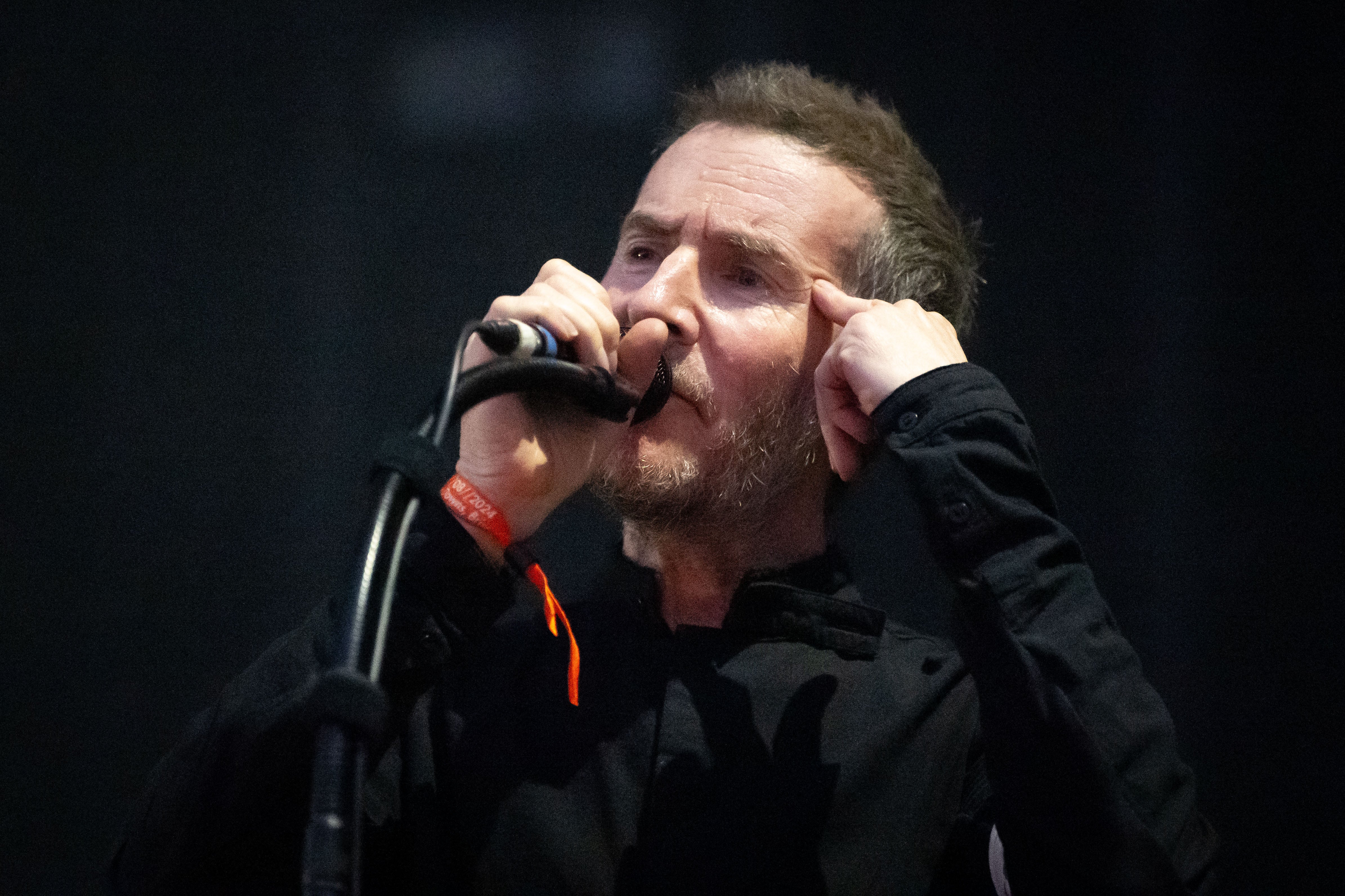 Massive Attack’s set at Primavera was also cancelled (Getty)