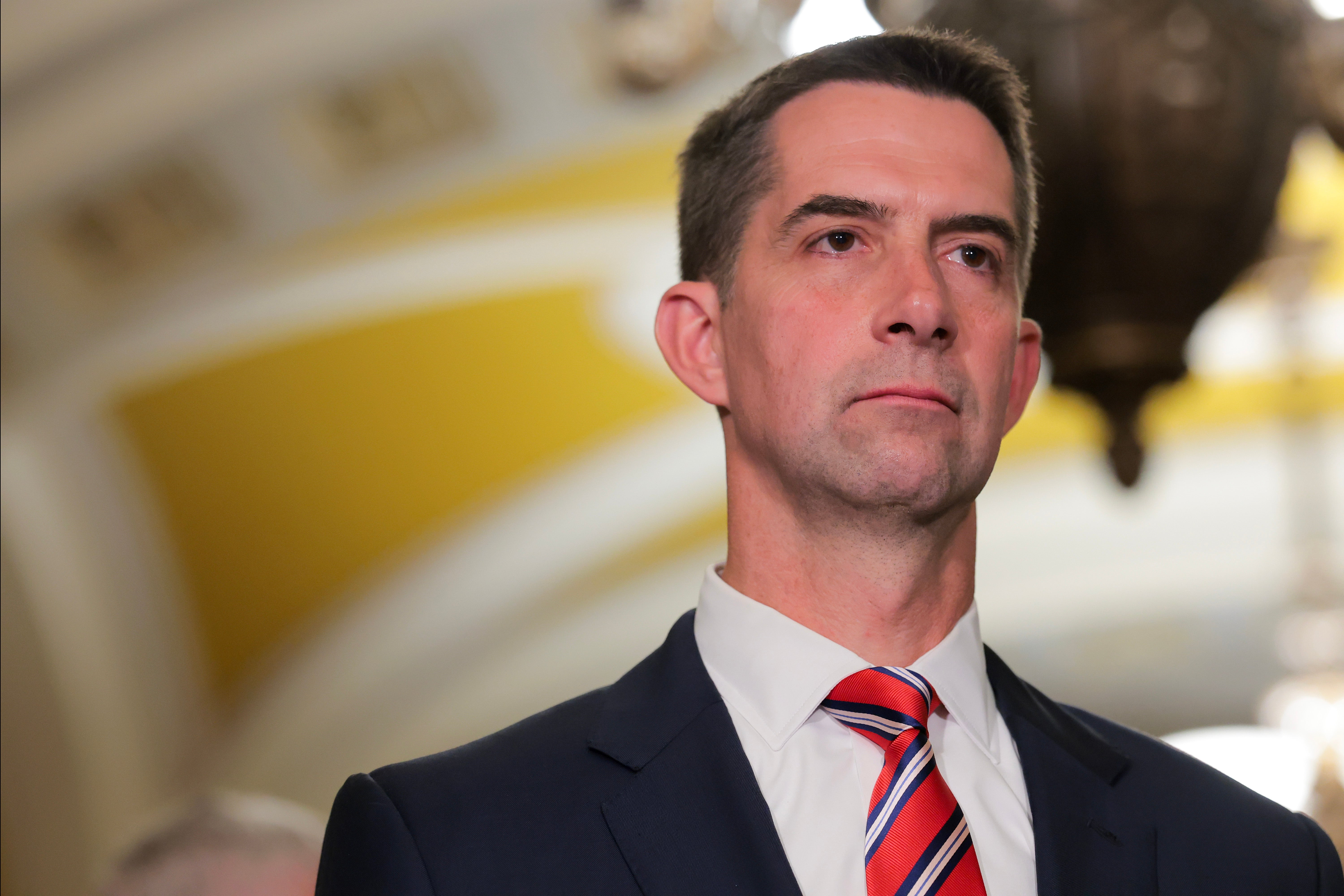 Sen. Mark Warner, the top Democrat on the Senate Intelligence Committee who had worked to negotiate the bill, voted against it. He said earlier Thursday that he and committee Chair Sen. Tom Cotton, shown here, had reached what he described as a “compromise” on a “strong bill” (Getty)
