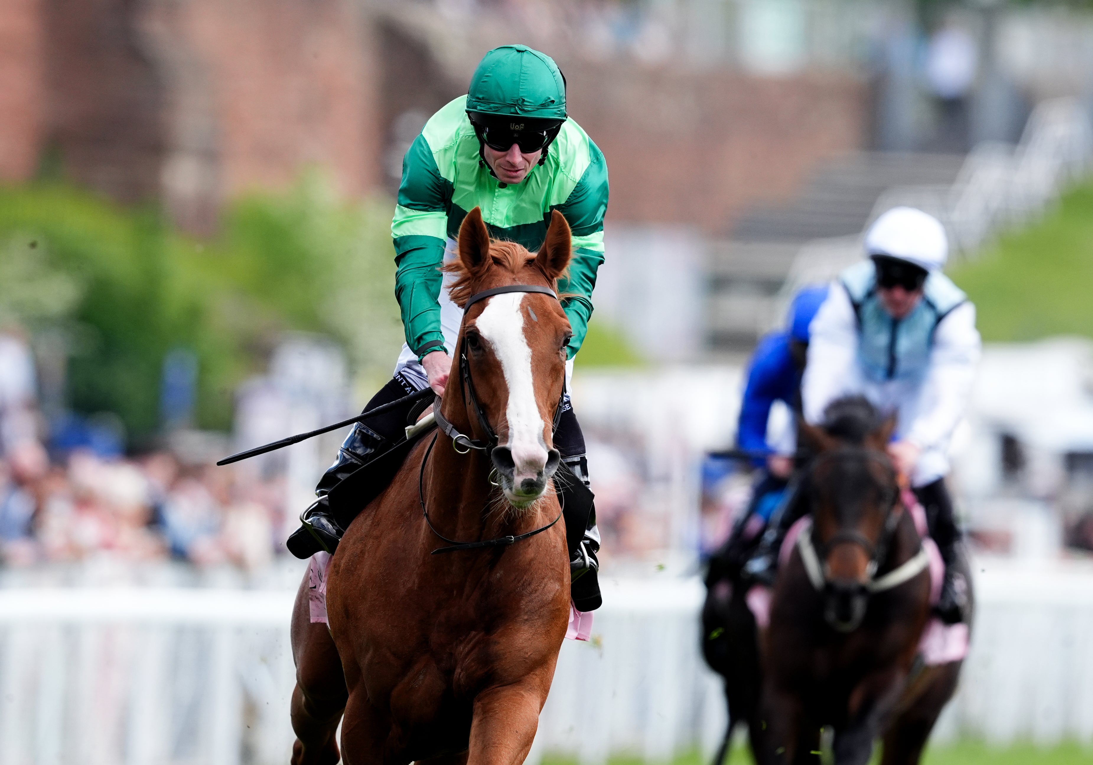 Can Benvenuto Cellini win the derby? (PA)