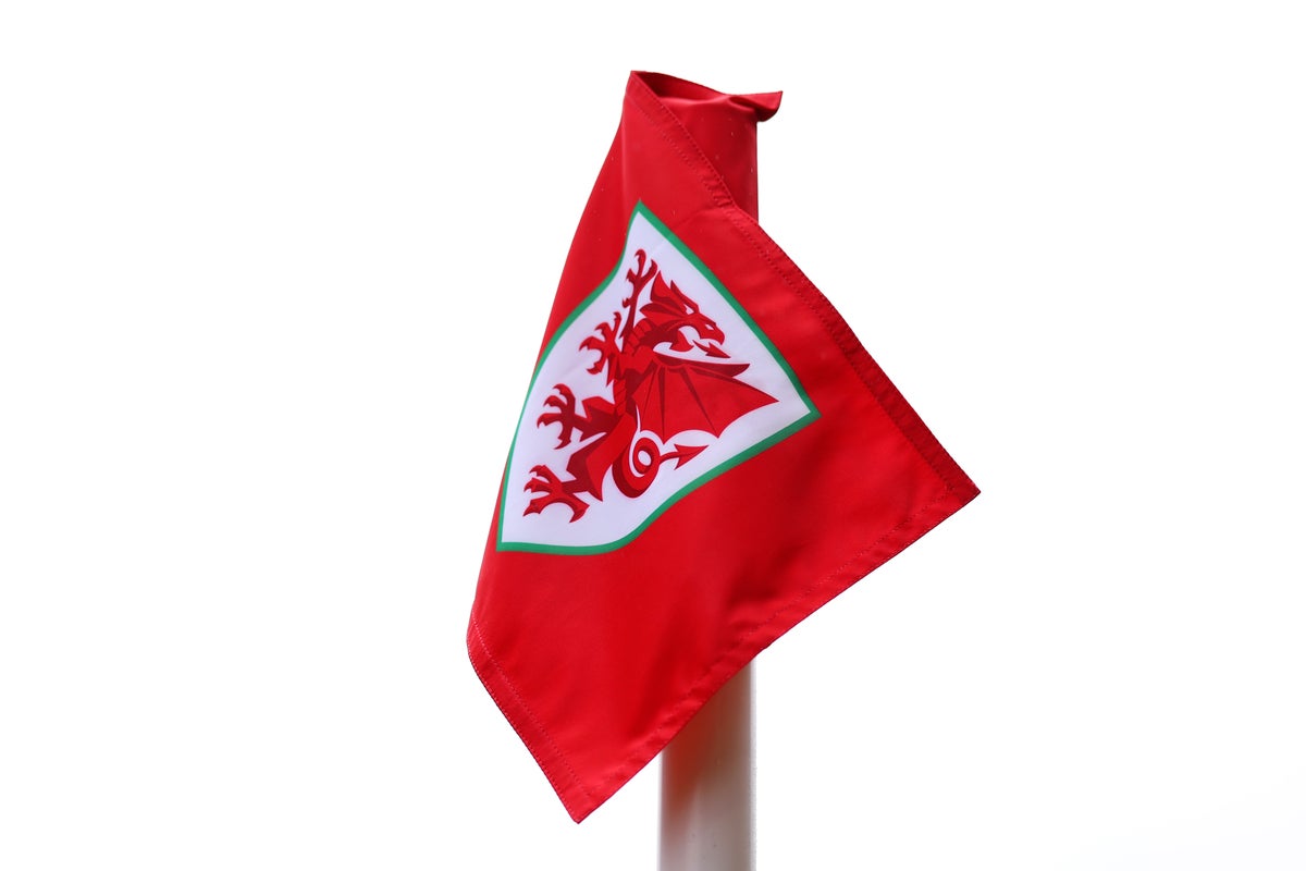 Wales miss chance to go top of World Cup qualifying group with Montenegro draw