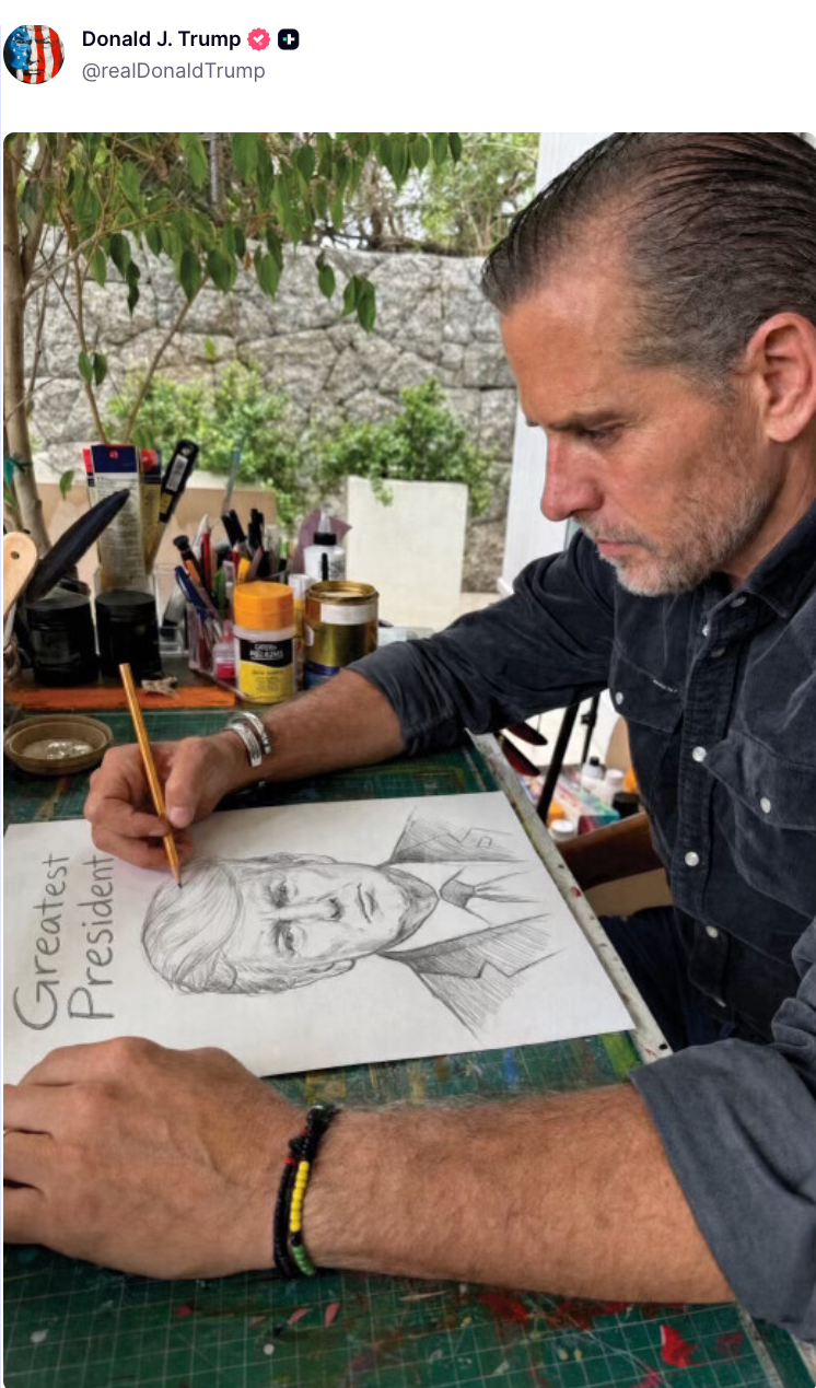 Trump spoofs Hunter Biden on Truth Social after the latter derides his 'checkered past' (Donald J Trump/Truth Social)