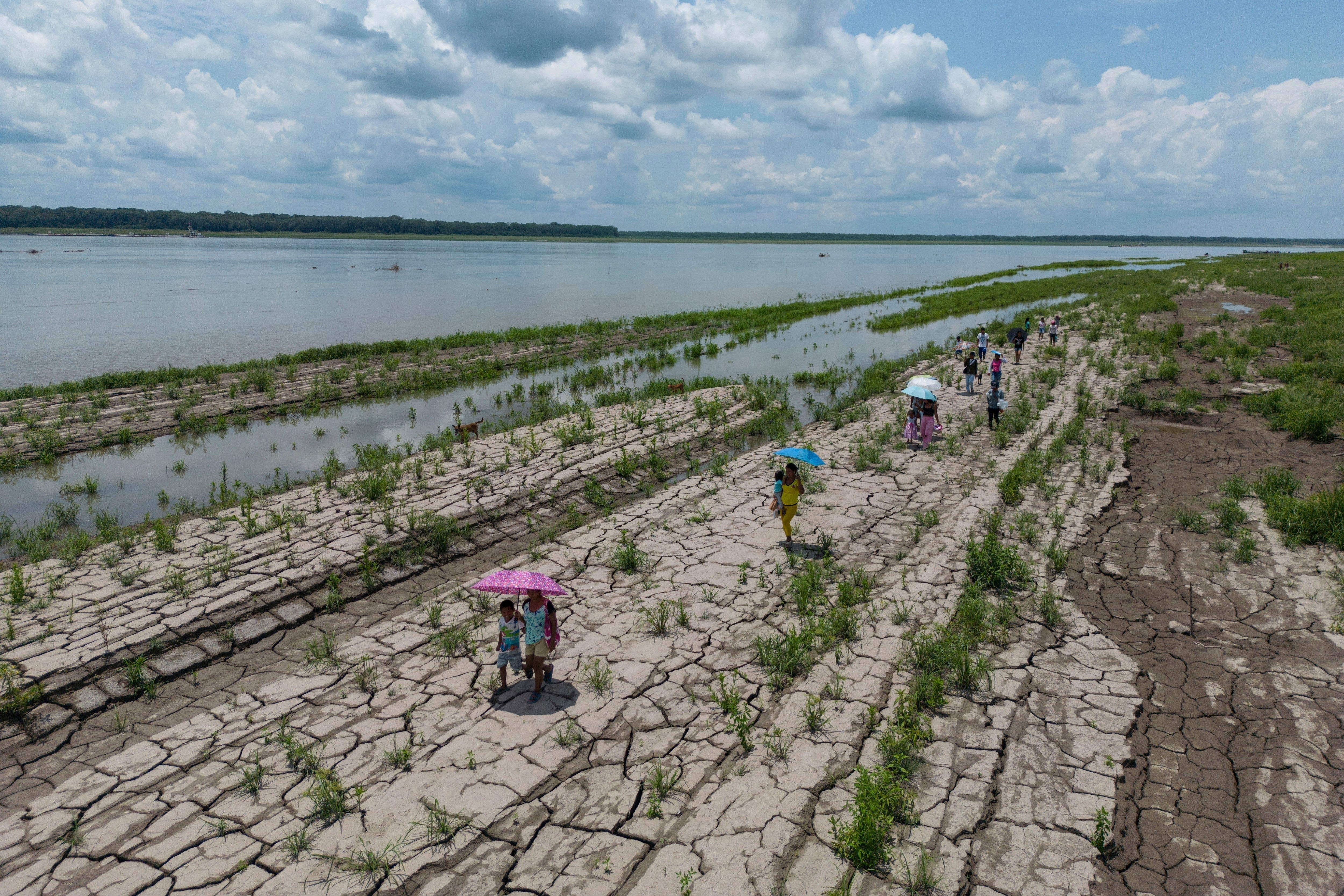 independent.co.uk - Steven Grattan - Colombia's presidential runoff could impact the future of the Amazon rainforest and fossil fuels