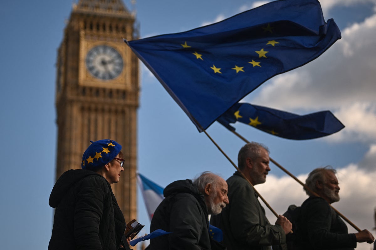 Labour may reconsider Brexit red lines, Britain’s top EU neg