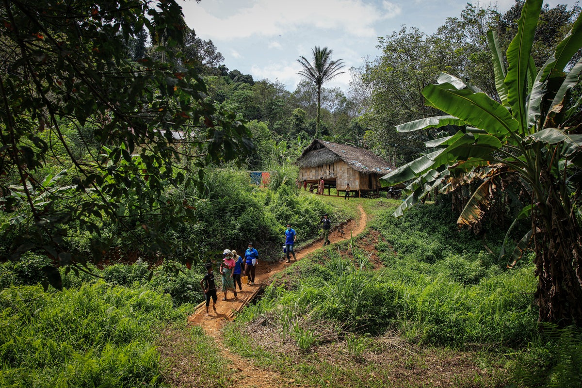 Missing hiker survives 14 days lost with no food in Malaysia