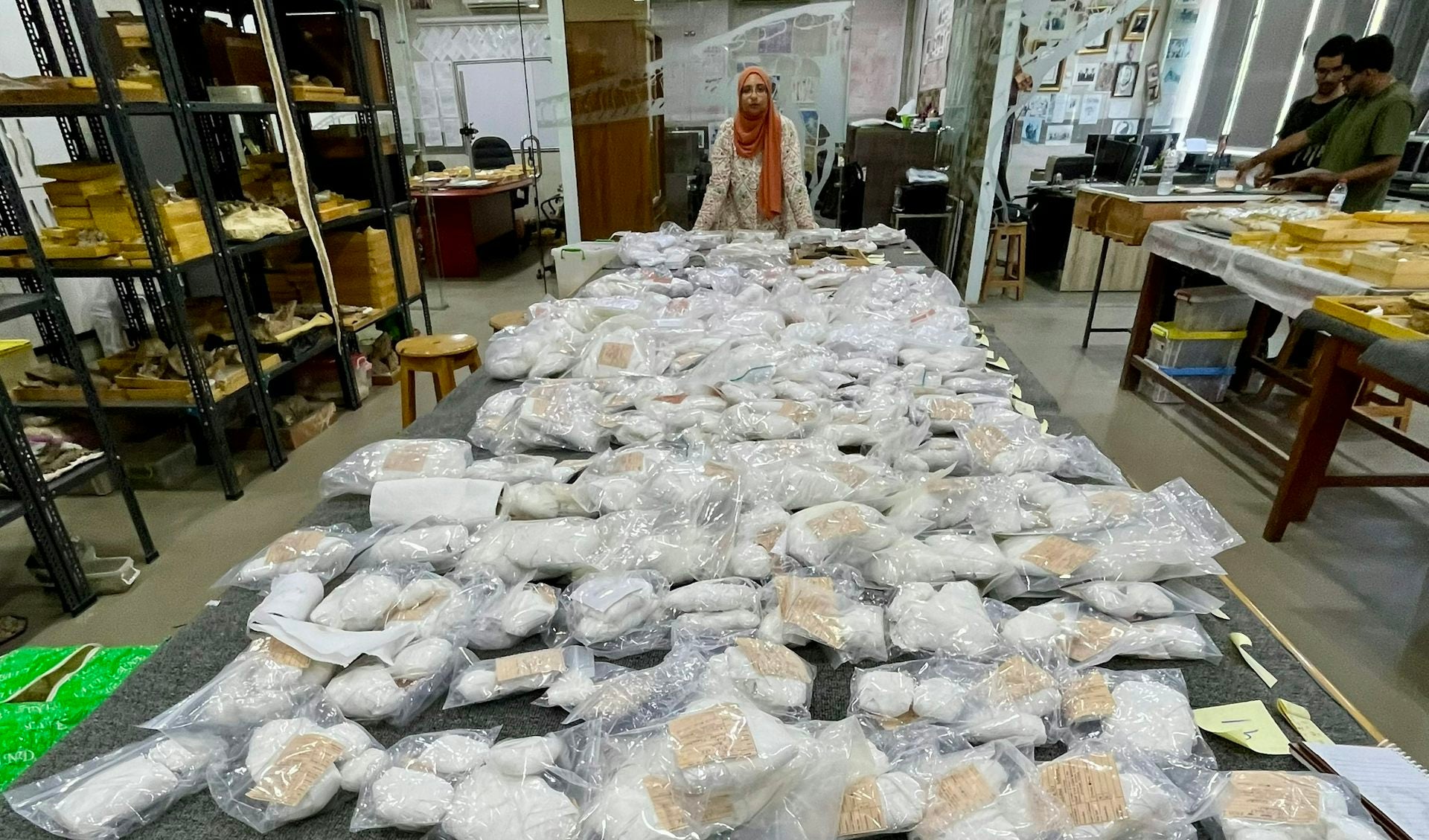 Sallam Lab excavated an extensive marine fossil collection from the Qreiya 3 site