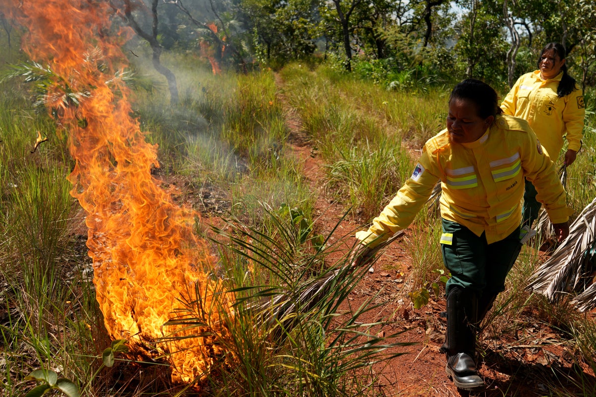 In Brazil’s Cerrado region, Indigenous fire practices reshap