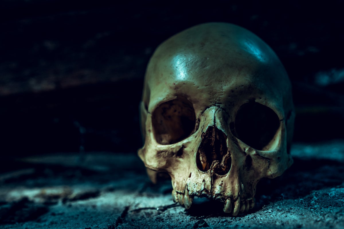 Mystery deepens after human skull discovered at Florida thri