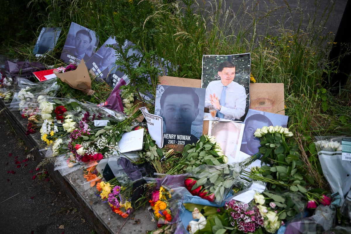 Inquiry needed into ‘catastrophic failures’ of Henry Nowak m
