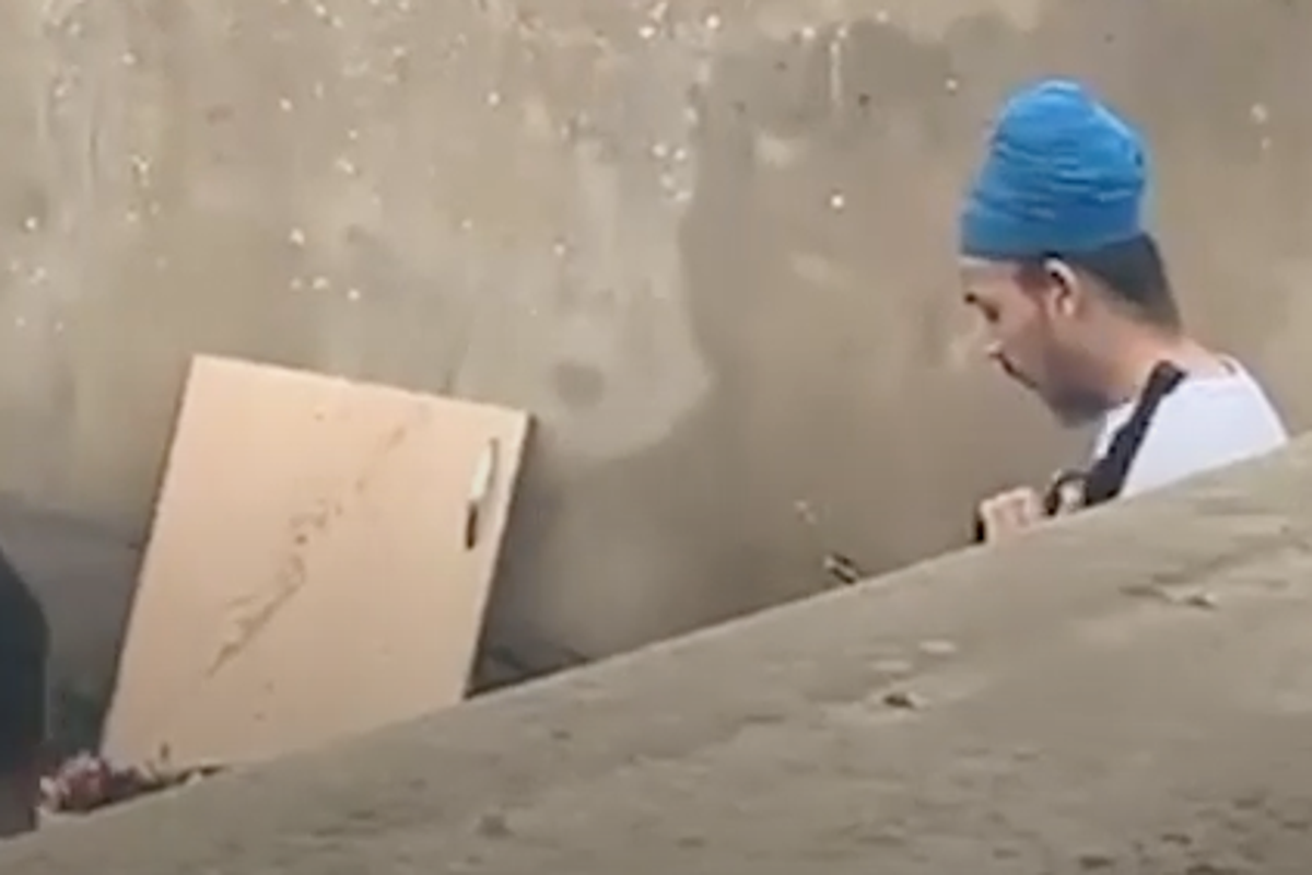 Um vídeo mostra o assassino de Henry Novak, Vikrum Digva, “segurando uma arma de fogo” anos antes do esfaqueamento Um vídeo mostra o assassino de Henry Novak, Vikrum Digva, “segurando uma arma de fogo” anos antes do esfaqueamento