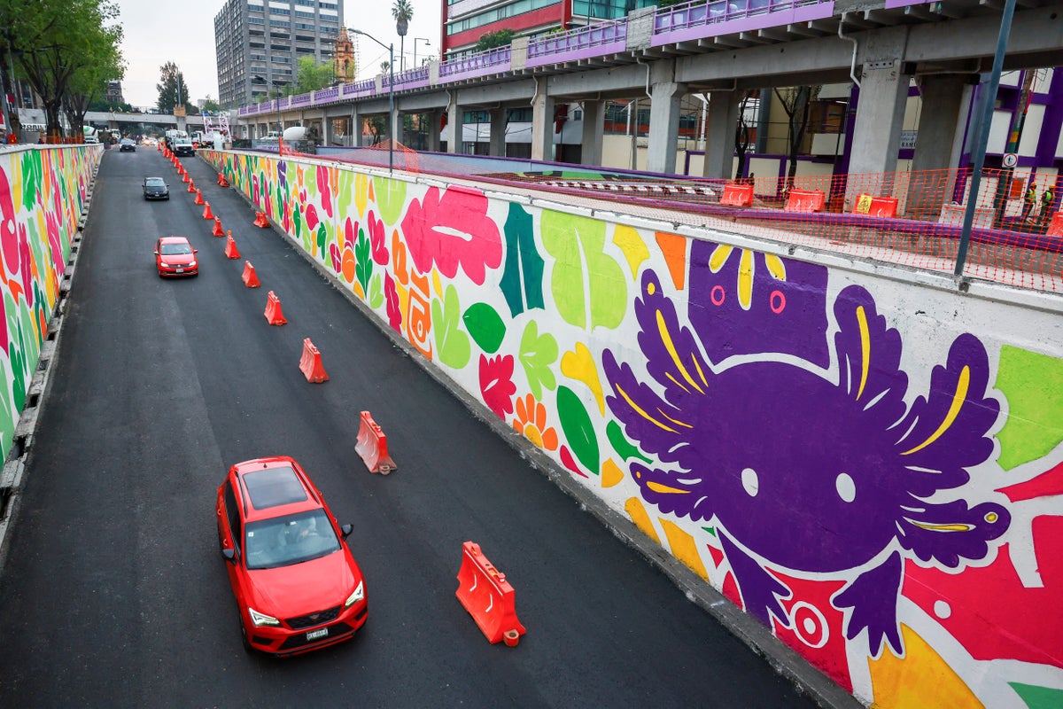 Unofficial World Cup mascot sparks fury among locals ahead o