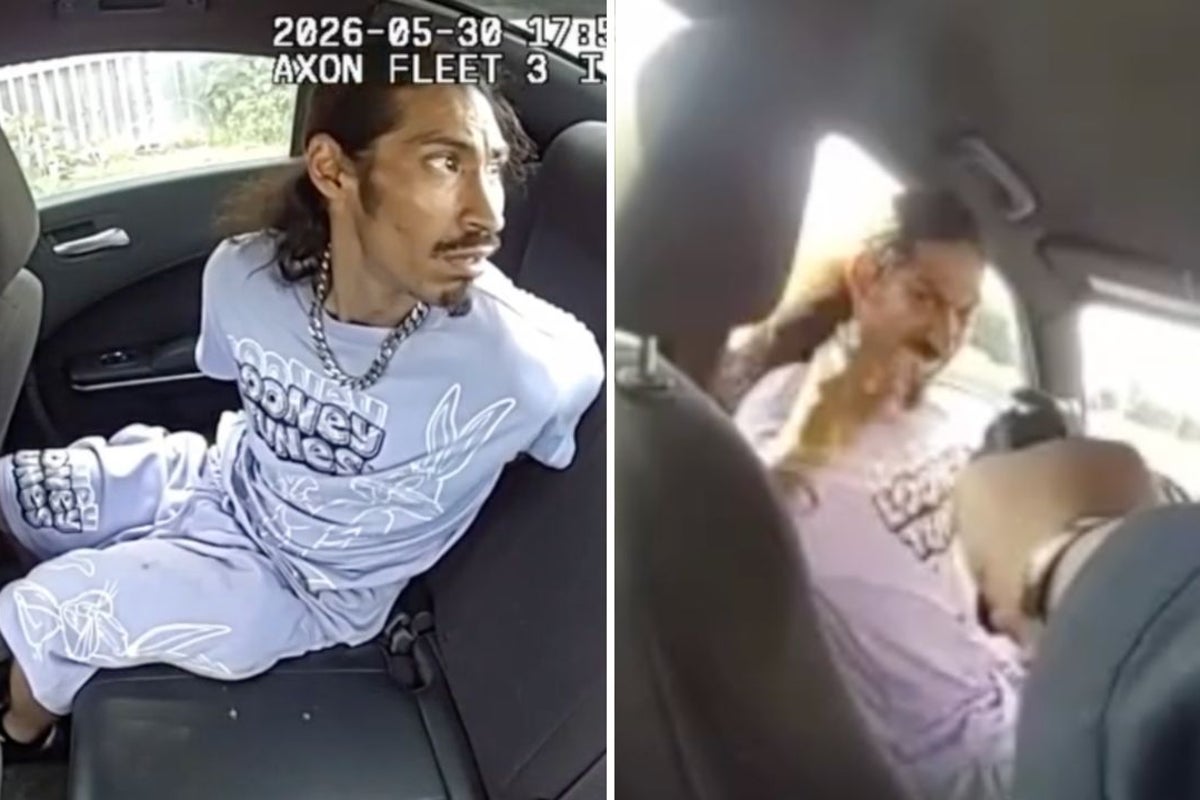 Suspect slips handcuffs and steals police car with
