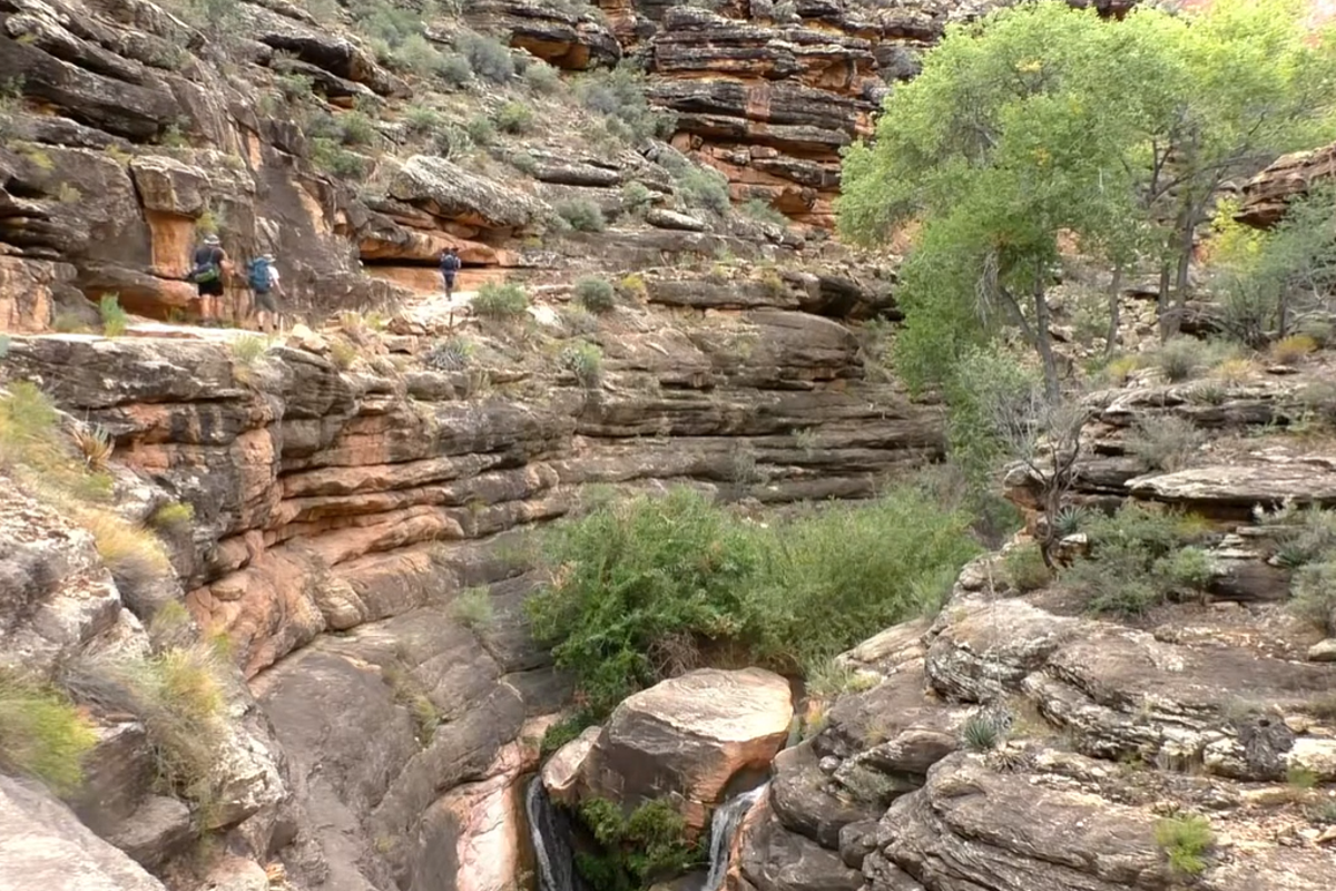 Teenage hiker dies in Grand Canyon after collapsing from hea