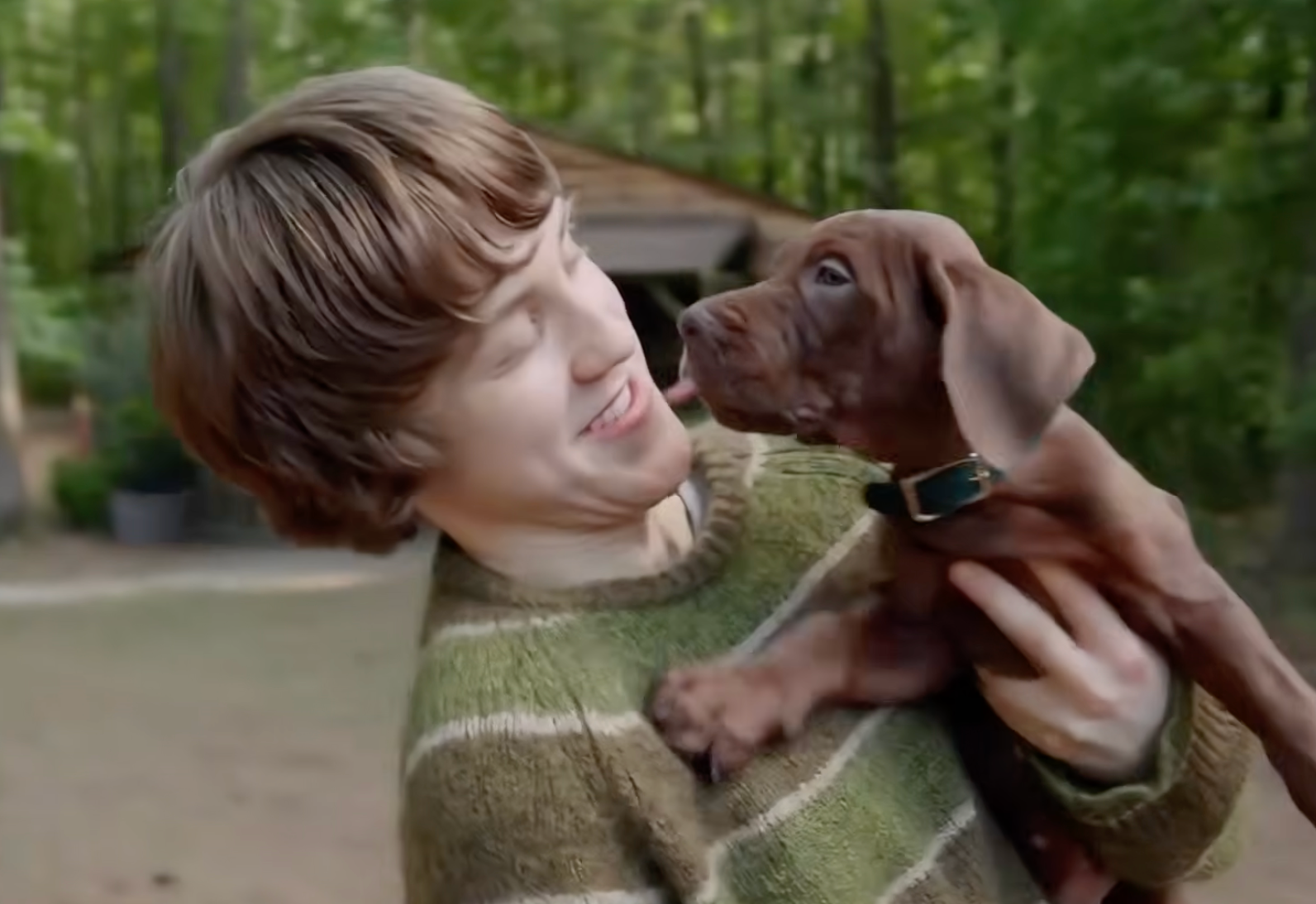 Scooby jumps into Shaggy’s arms in a first-look video at the forthcoming series ‘Scooby-Doo: Origins’