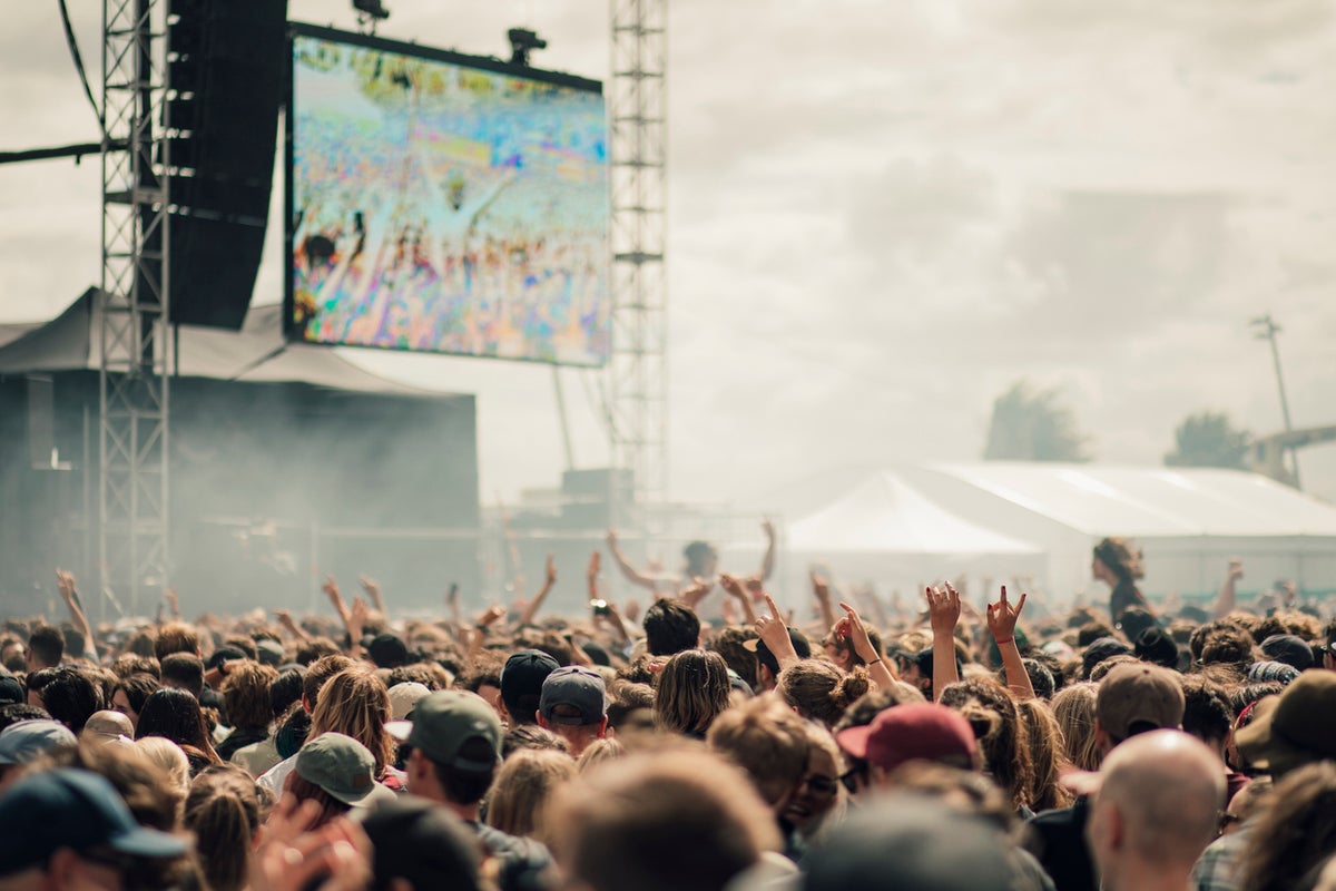 The must-have concert accessory? Earplugs — and wh