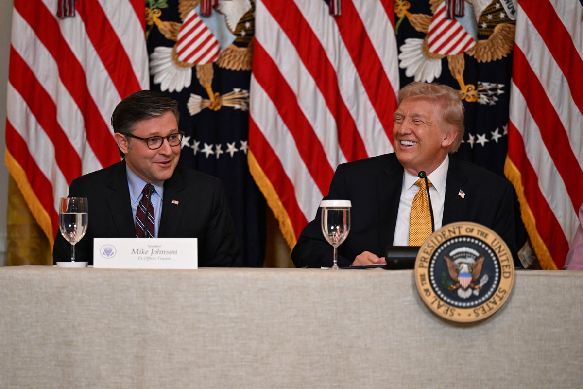 ‘I have two jobs’: Trump belittles Mike Johnson in
