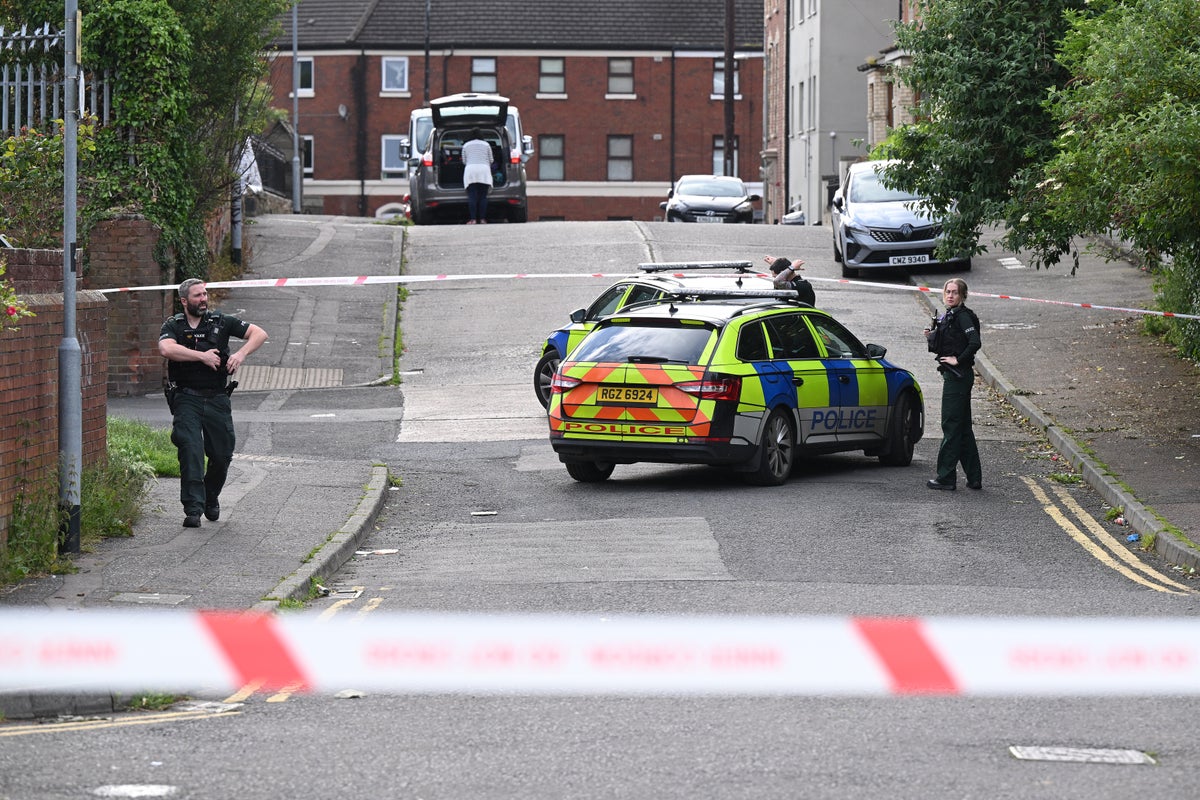 Belfast incident: Arrest after man is seriously injured in s