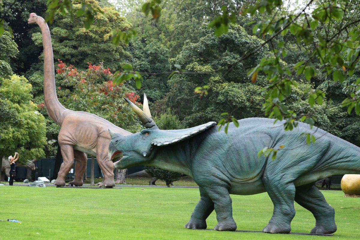Meteorite that killed dinosaurs also created life-supporting