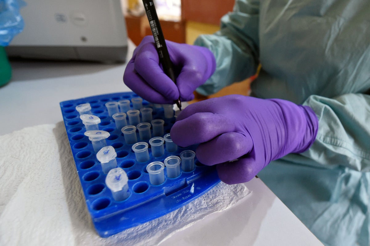 What is Lassa fever and is there a vaccine for it?