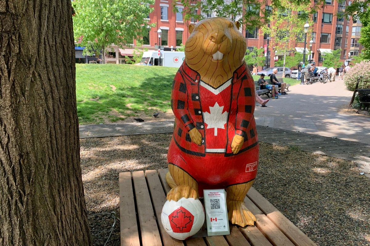 Join the beaver hunt: Toronto neighborhood offers unique Wor