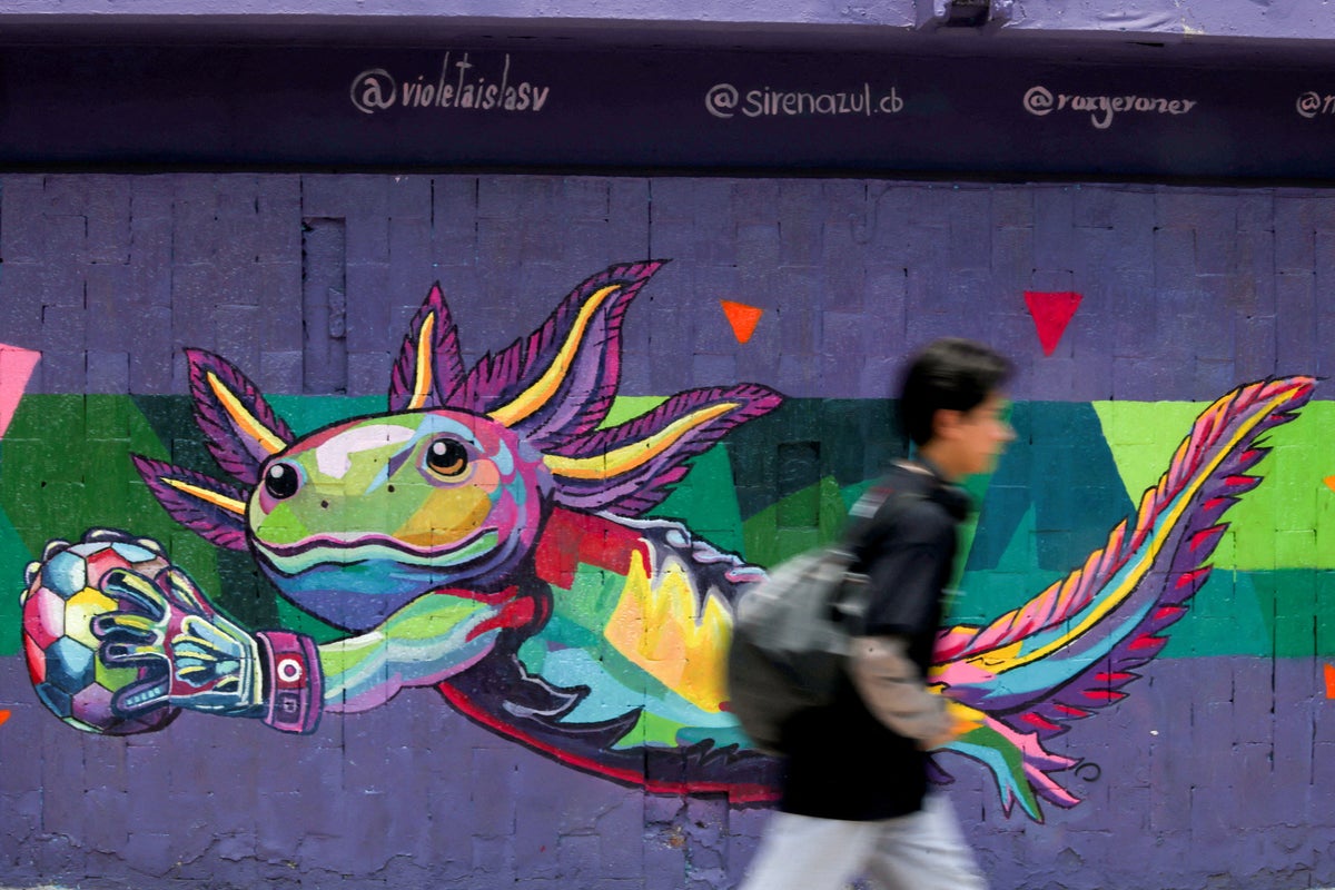Mexico’s unofficial World Cup mascot might already