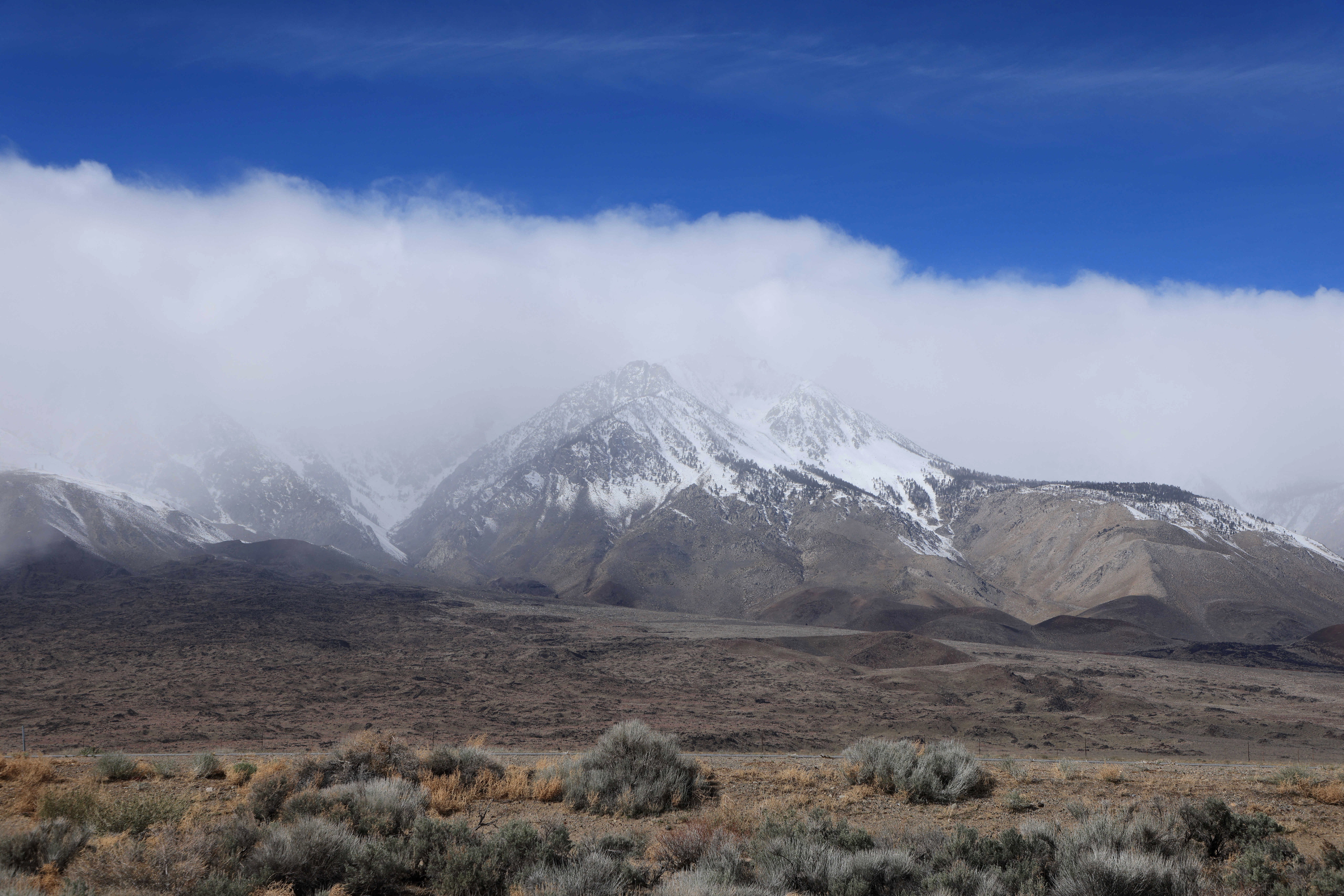 The encounter unfolded in Mammoth Lakes, a town in California's Sierra Nevada region (AFP/Getty)