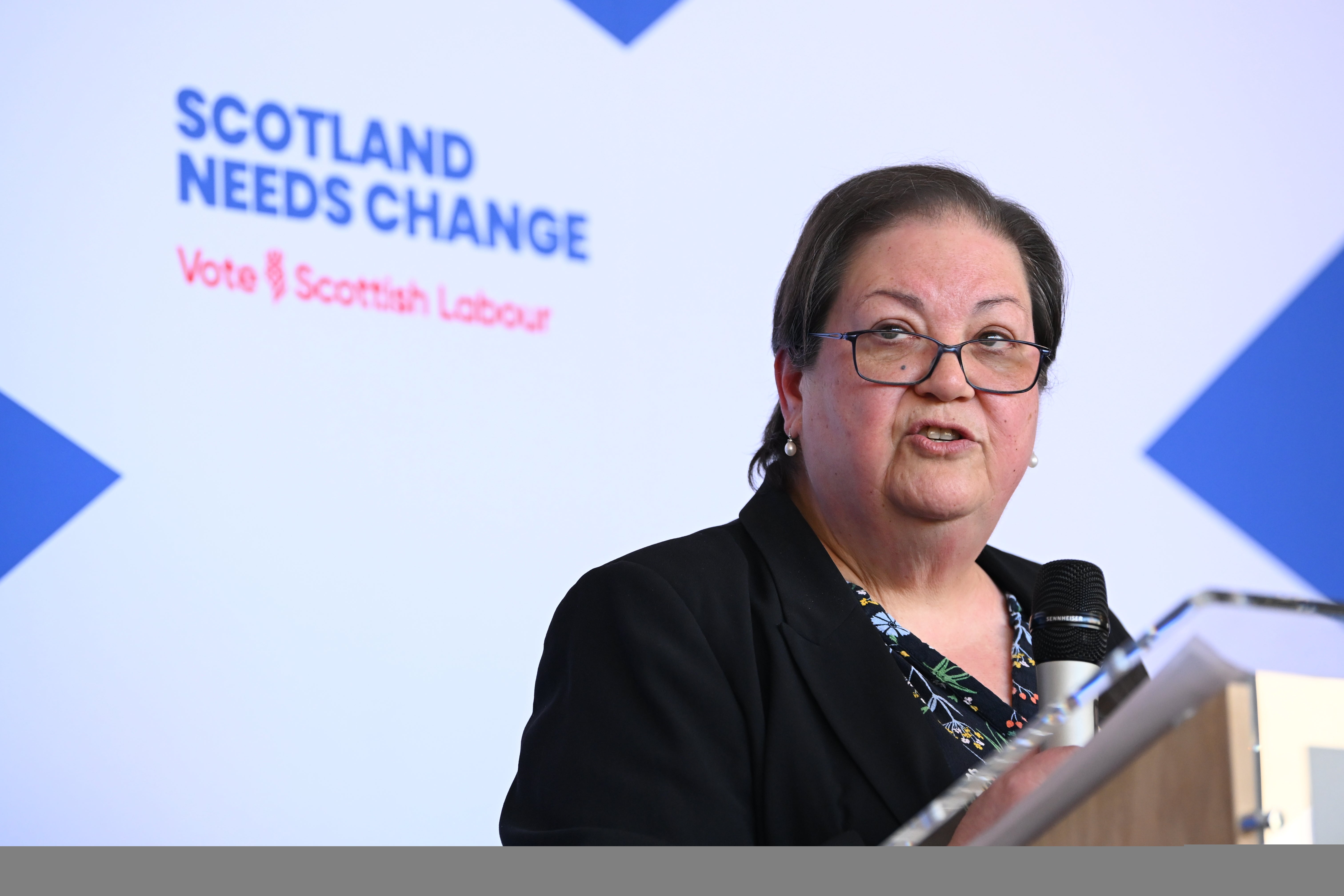 Dame Jackie Baillie urged MSPs to back their calls for an inquiry (Euan Cherry/PA) (PA Wire)