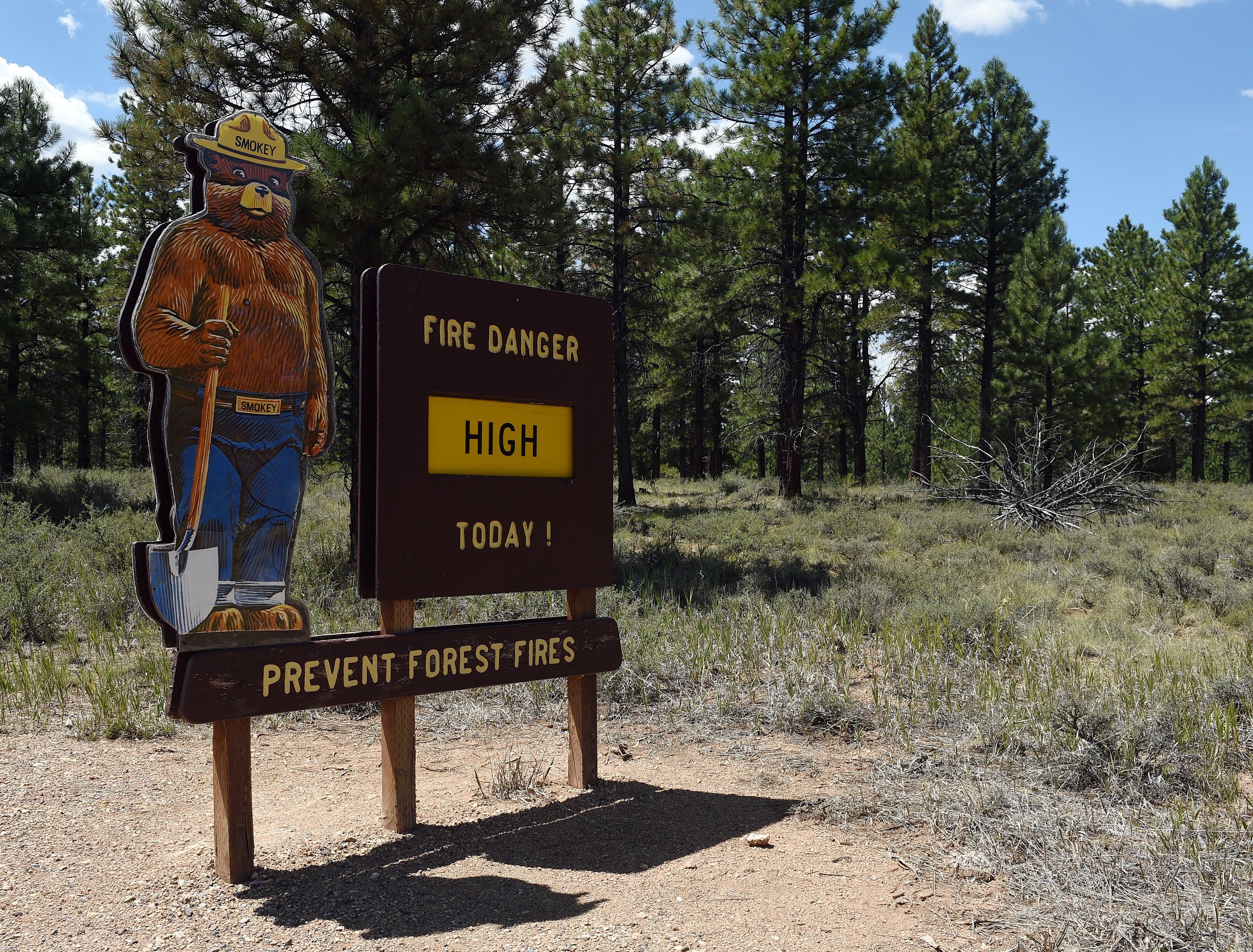 A squirrel and a group of kids managed to start separate brush fires this week, as Utah officials warn of a severe fire season amid drought conditions (Getty Images)