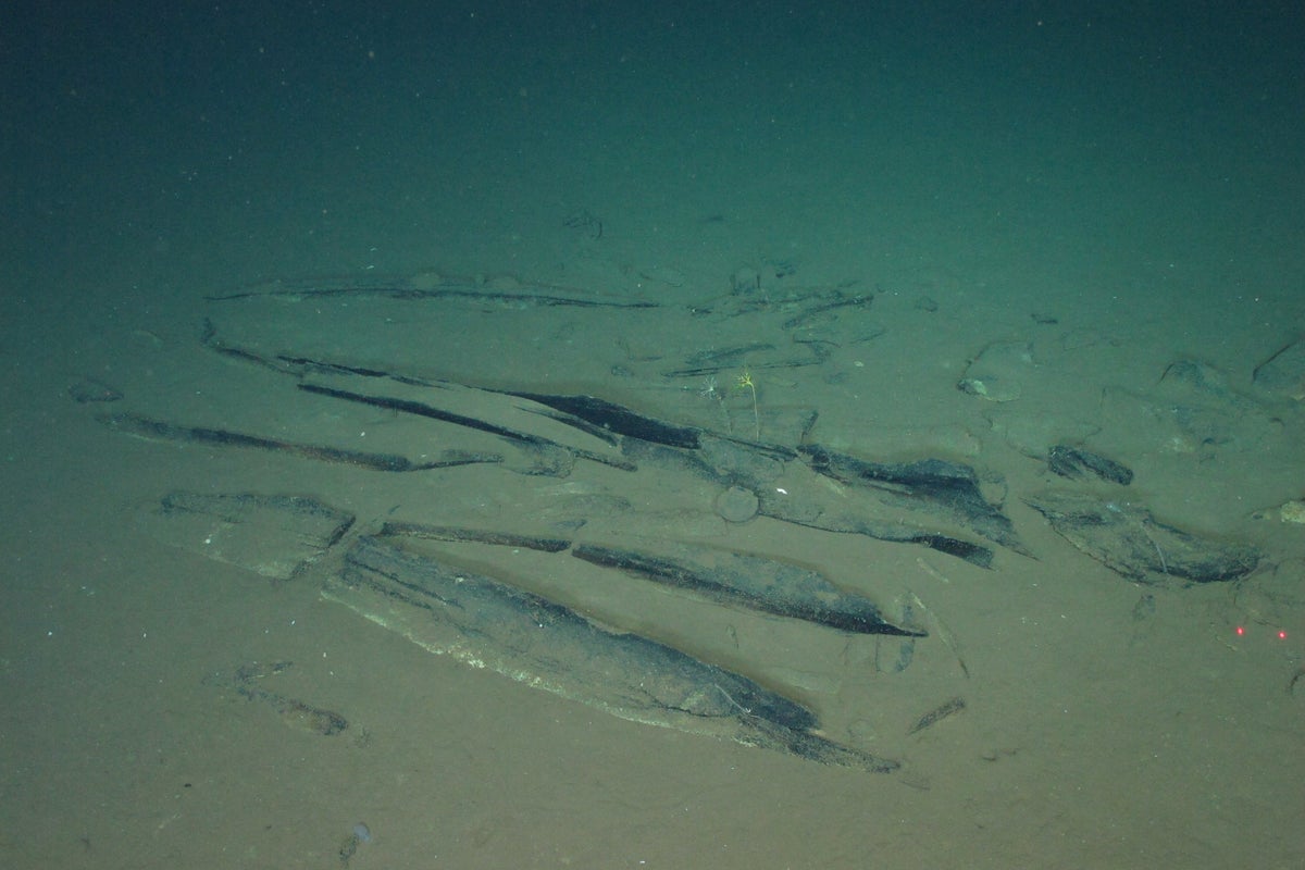 Deepest and most extensive whale graveyard brimmin