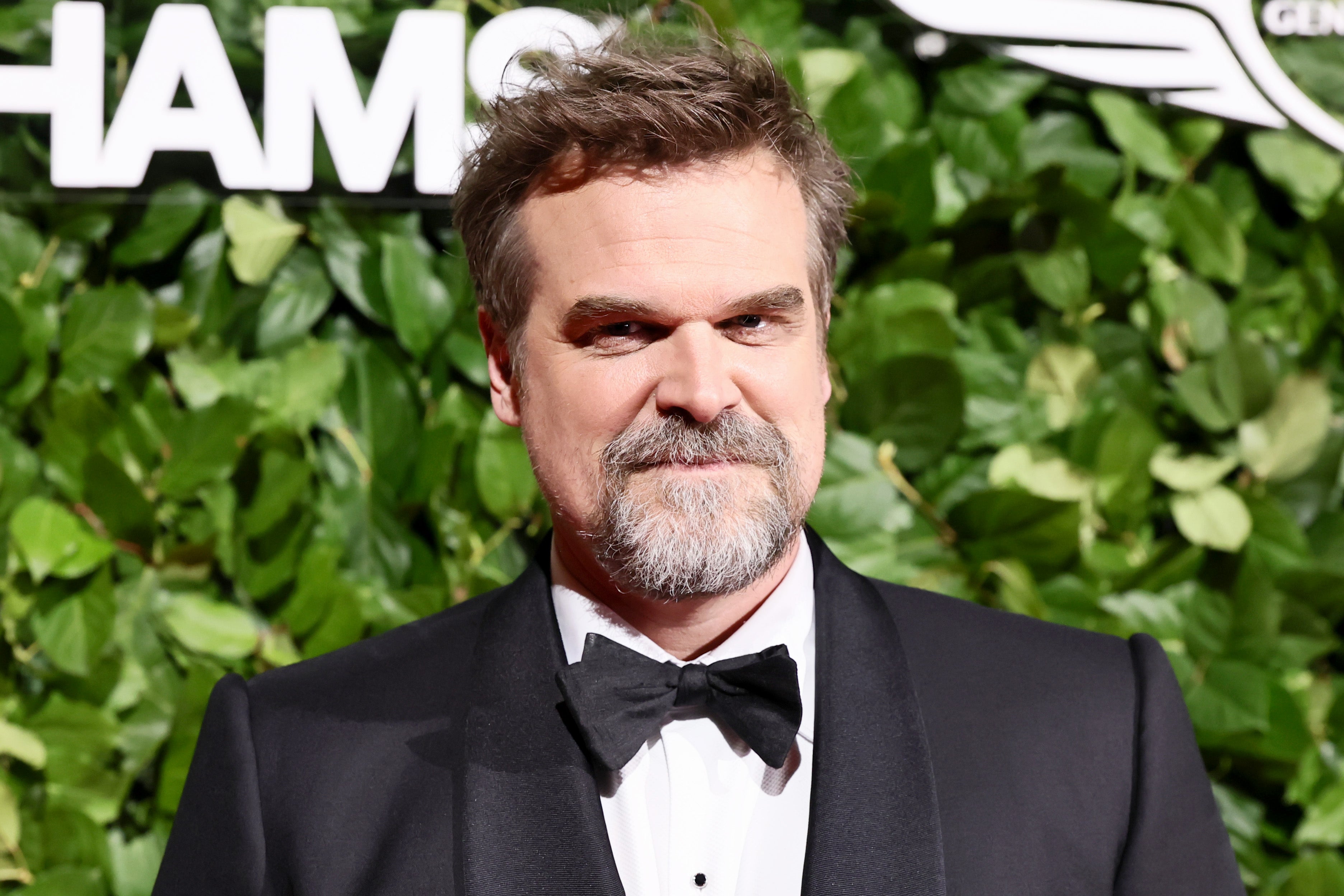 David Harbour called ex Lily Allen's 'West End Girl' album 'weird' (Getty)