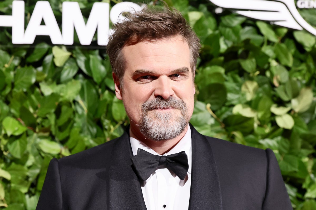 David Harbour breaks silence on Lily Allen’s album: ‘It was 
