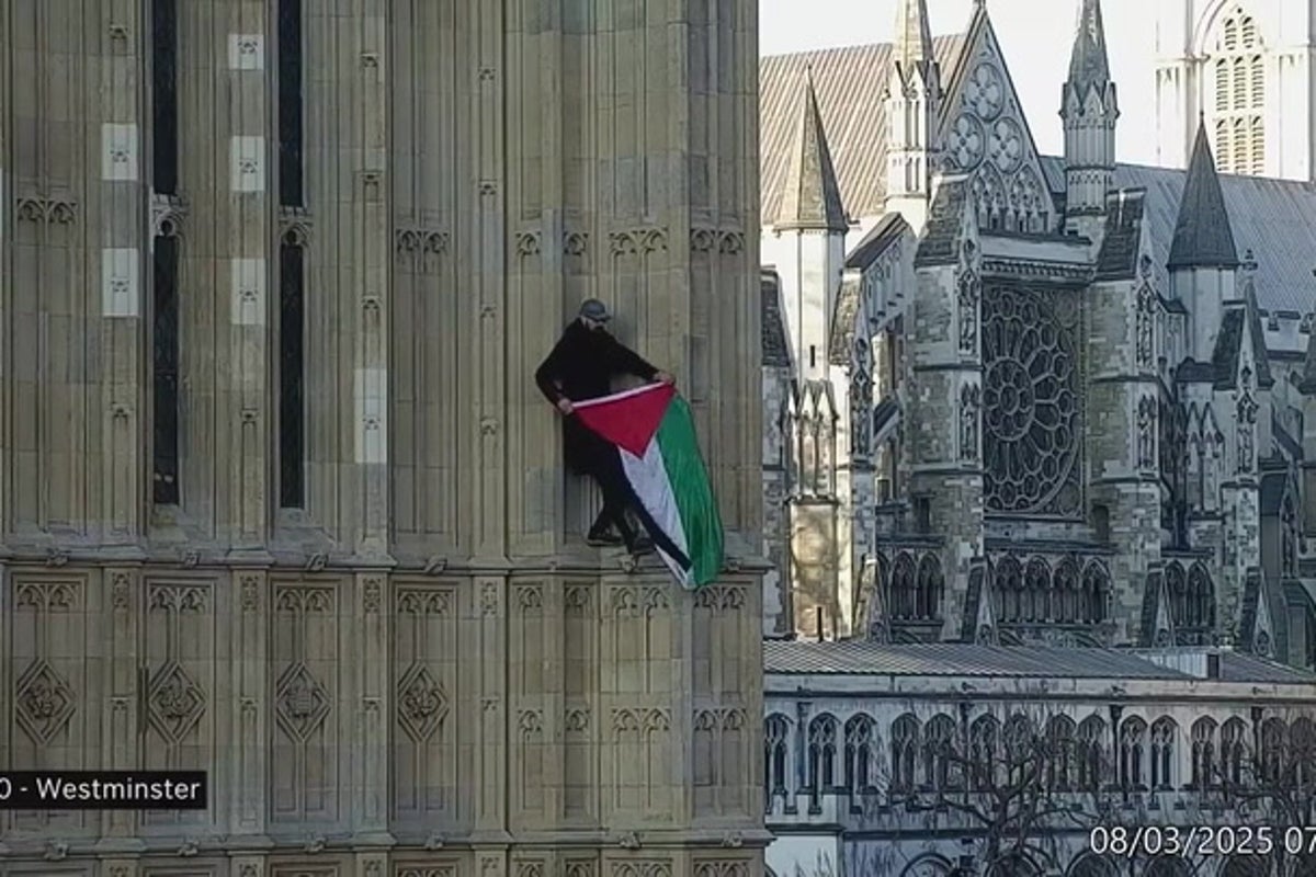 CCTV footage appears to show pro-Palestine protester scaling
