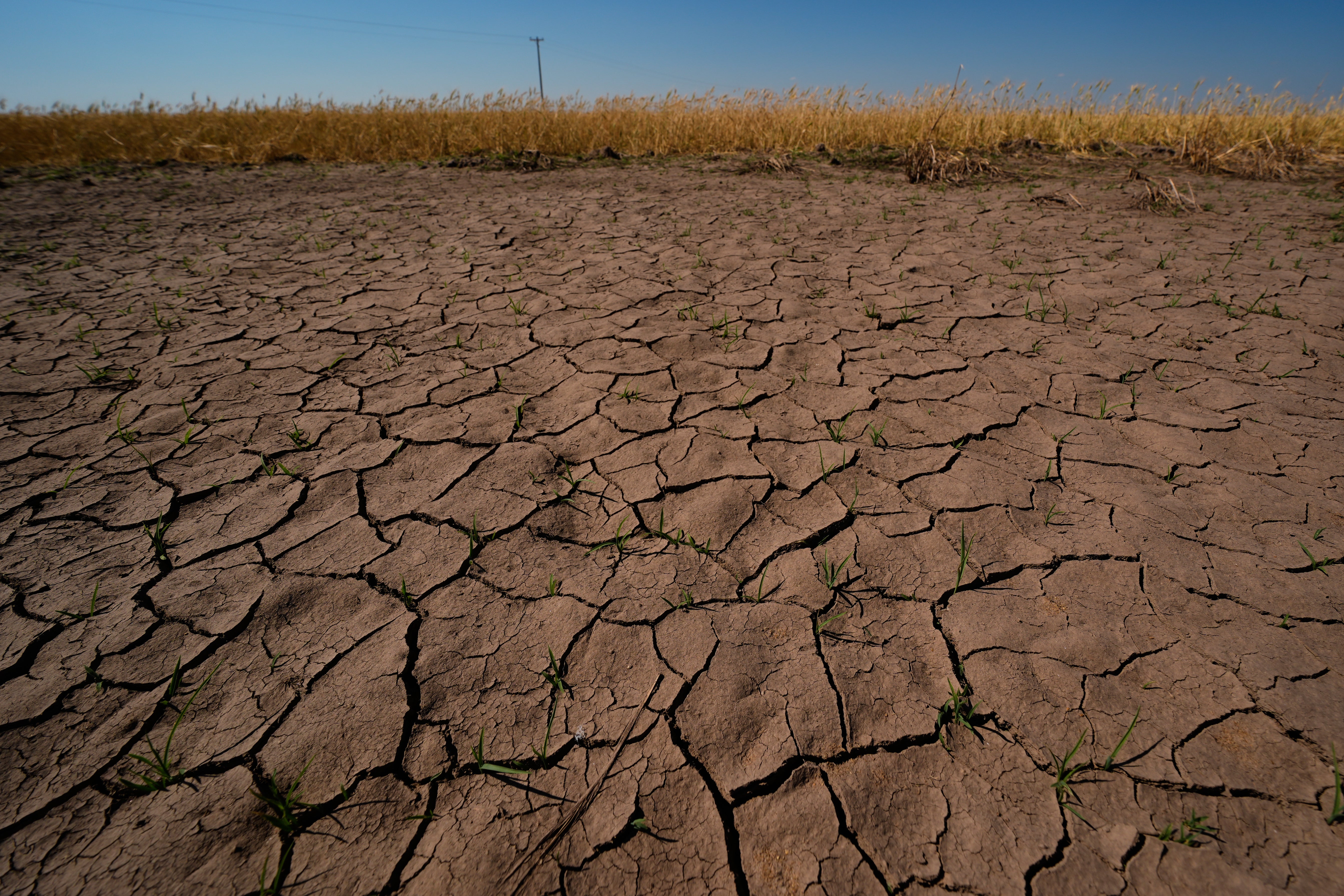Met Office climate spokesman Grahame Madge said El Nino will be a ‘significant event’ and ‘possibly one of the strongest we’ve had in recent decades’
