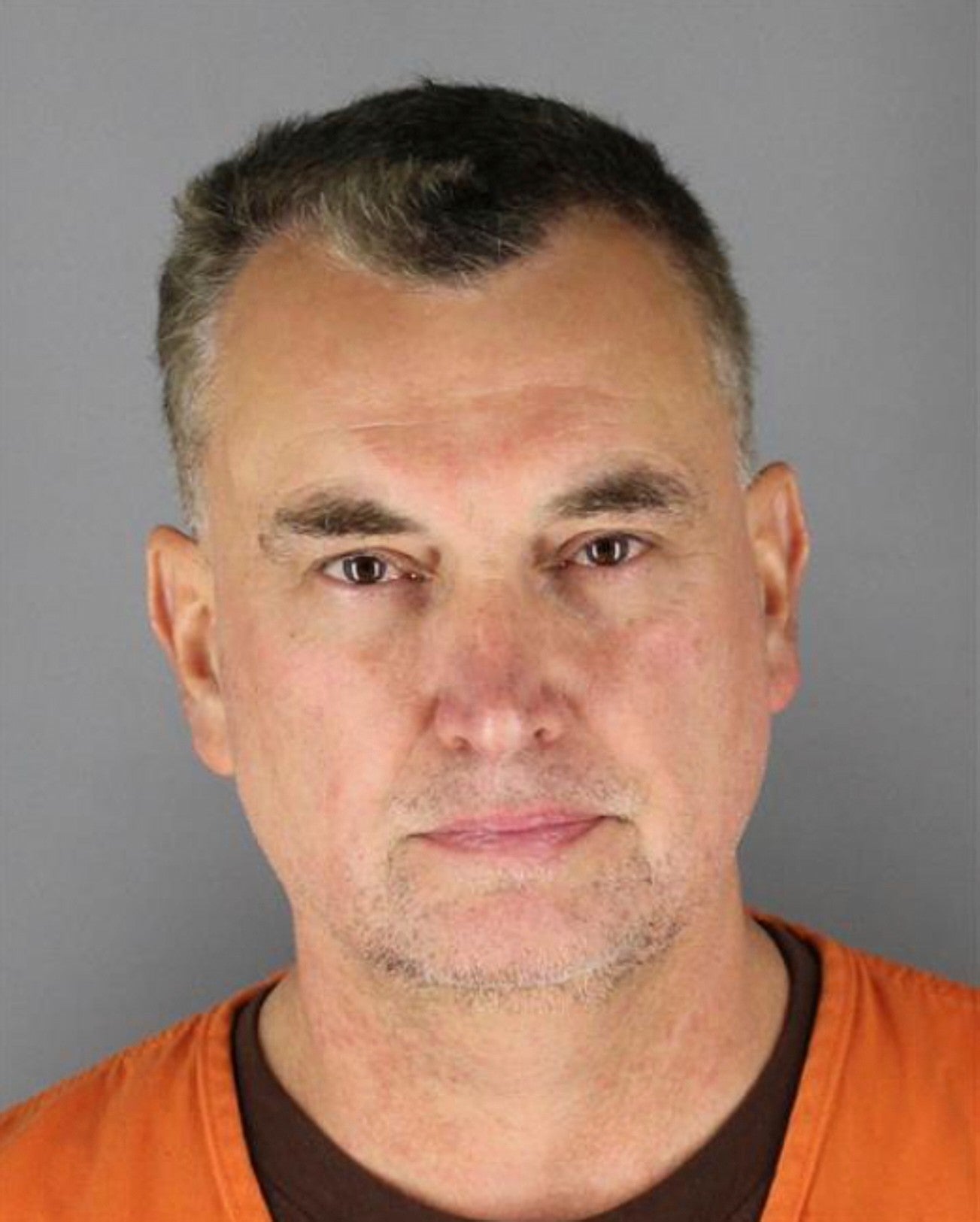 Man who posed as a cop and killed Minnesota Democrat Melissa Hortman and her husband pleads guilty