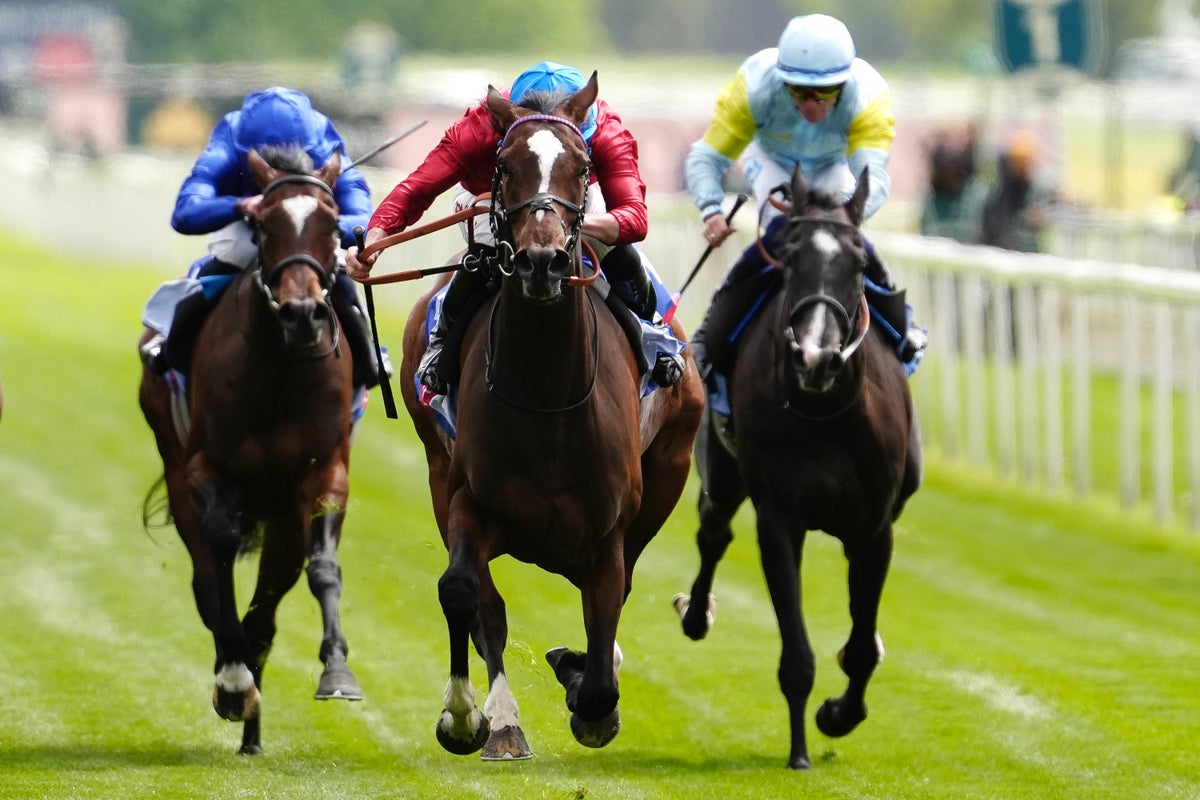 Friday racing tips: Best bets and odds for York