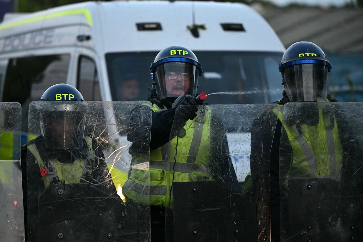 Man admits throwing frying pan at police during Southampton Henry Nowak protest