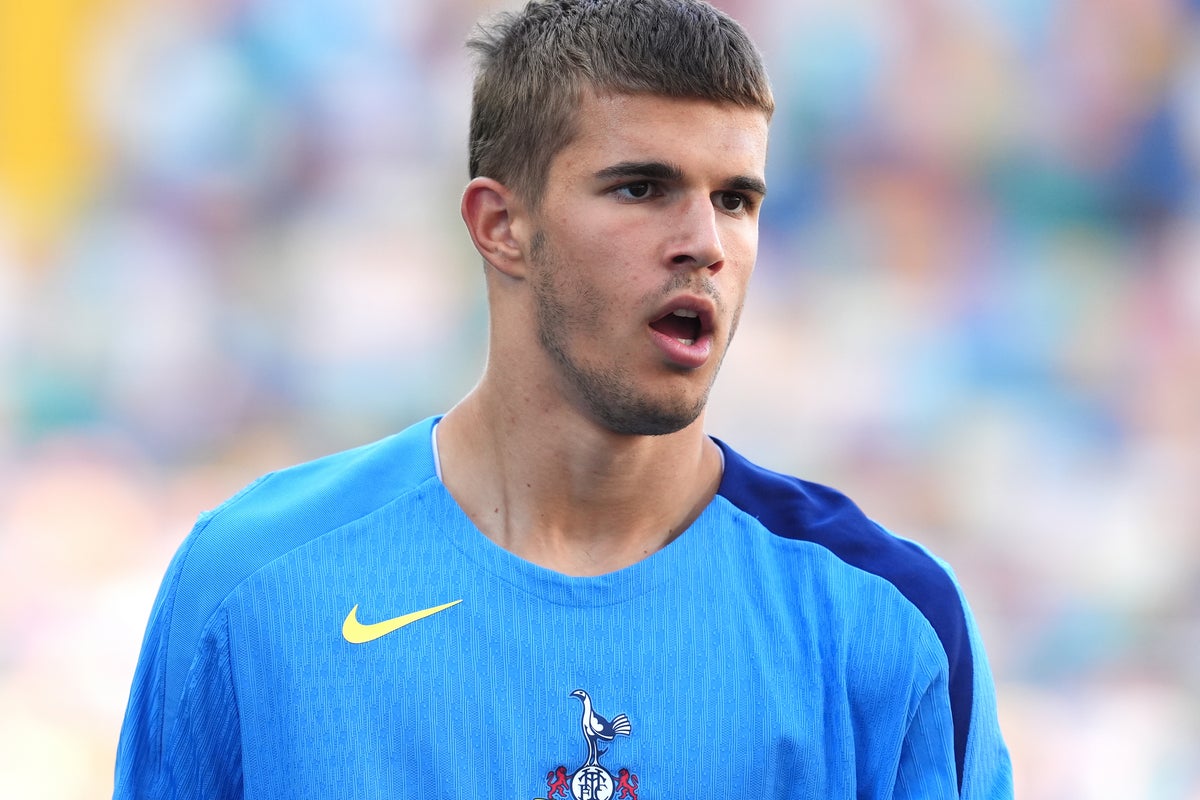 Brighton launch £30 million bid for highly-rated Tottenham teenager Brighton launch £30 million bid for highly-rated Tottenham teenager