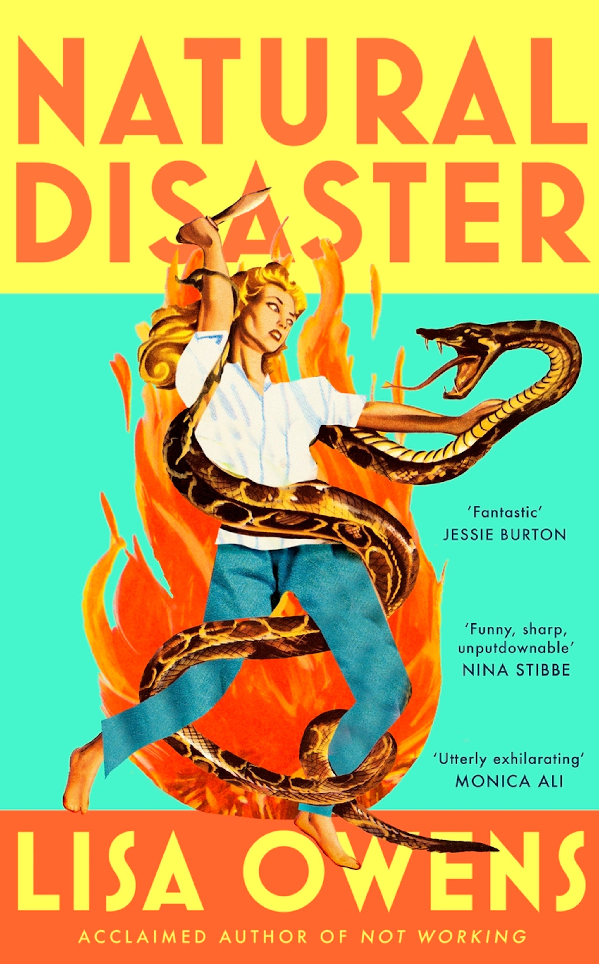 ‘Natural Disaster’ by Lisa Owens