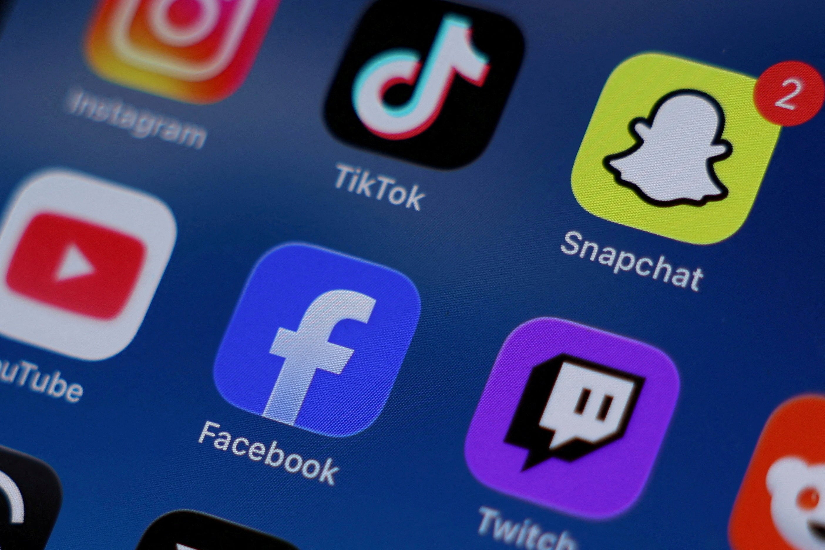 MPs and campaigners warned children risk losing the benefits of social media when it is banned (Reuters)