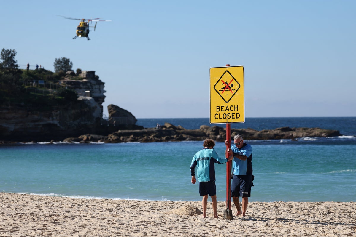 What Most People Get Wrong About the Rising Shark Attacks in Australia