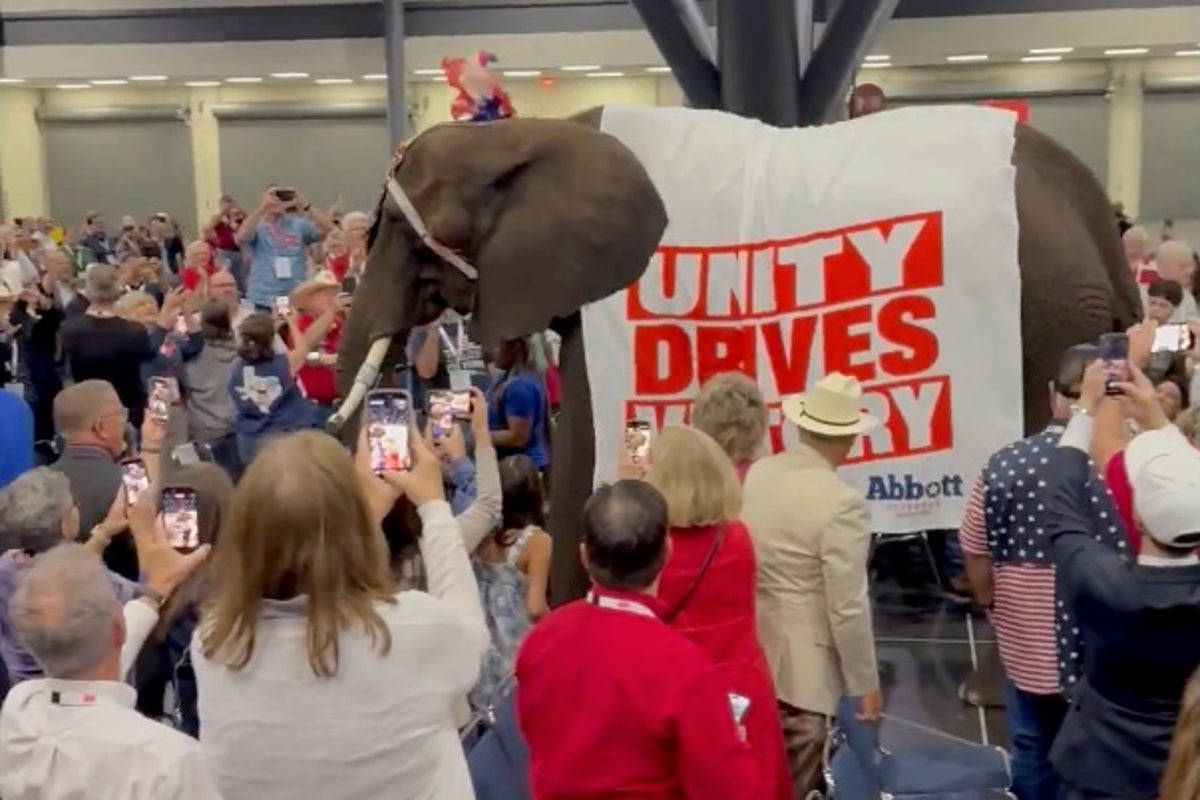 ‘They did it again’: Texas GOP brings a real elephant to a convention – as social users point out another prediction from The Simpsons – UK Times ‘They did it again’: Texas GOP brings a real elephant to a convention – as social users point out another prediction from The Simpsons – UK Times
